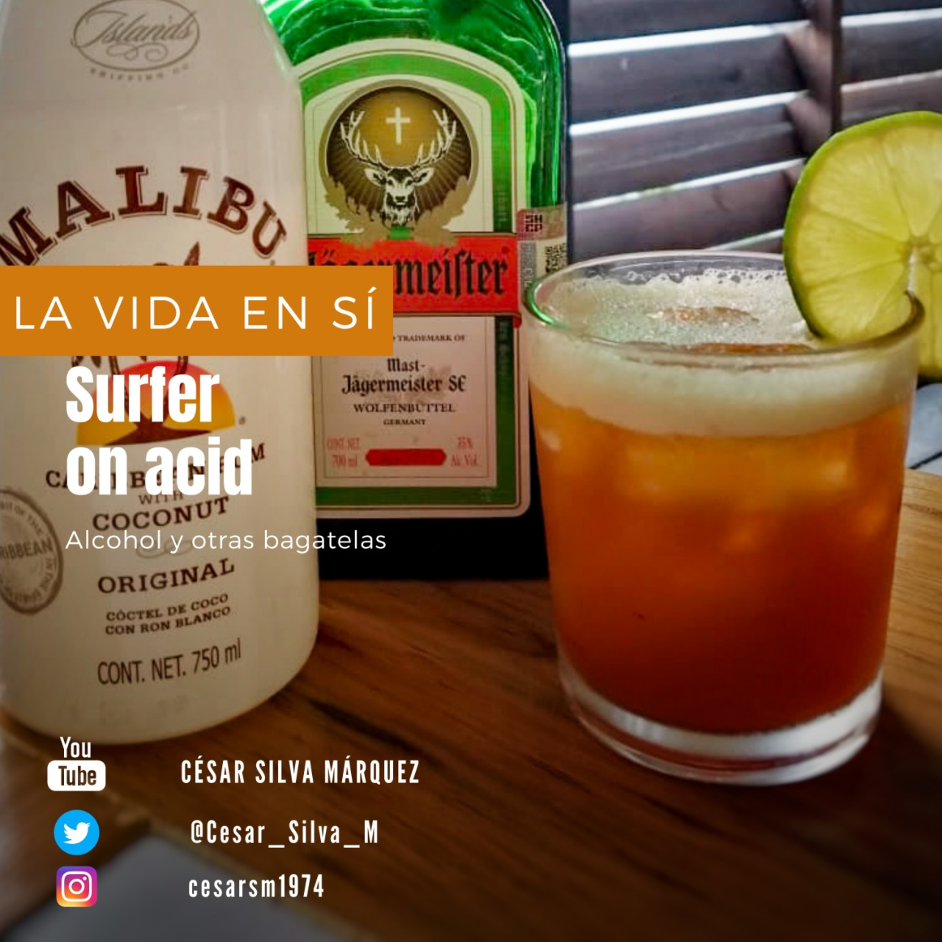 La vida en sí