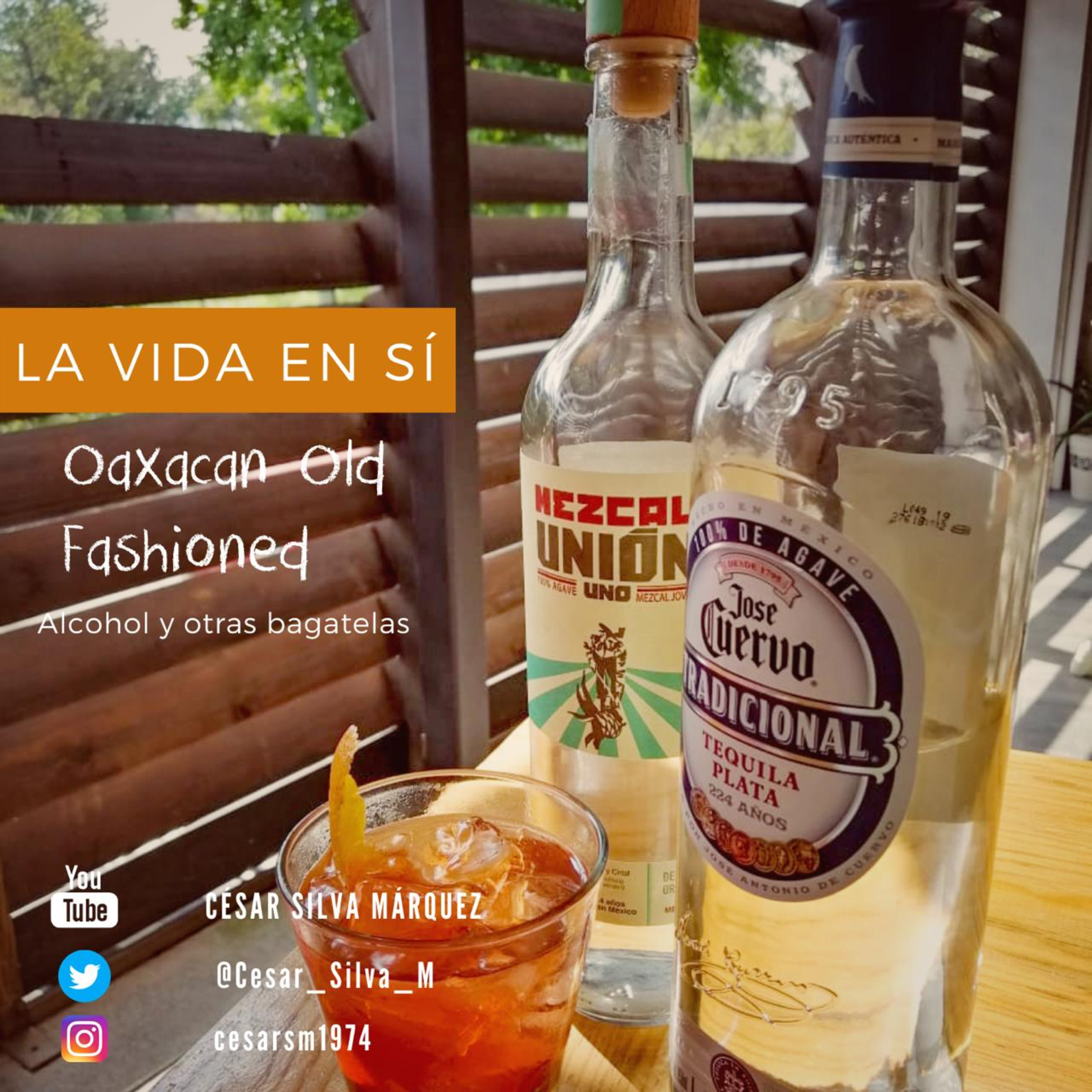 La vida en sí