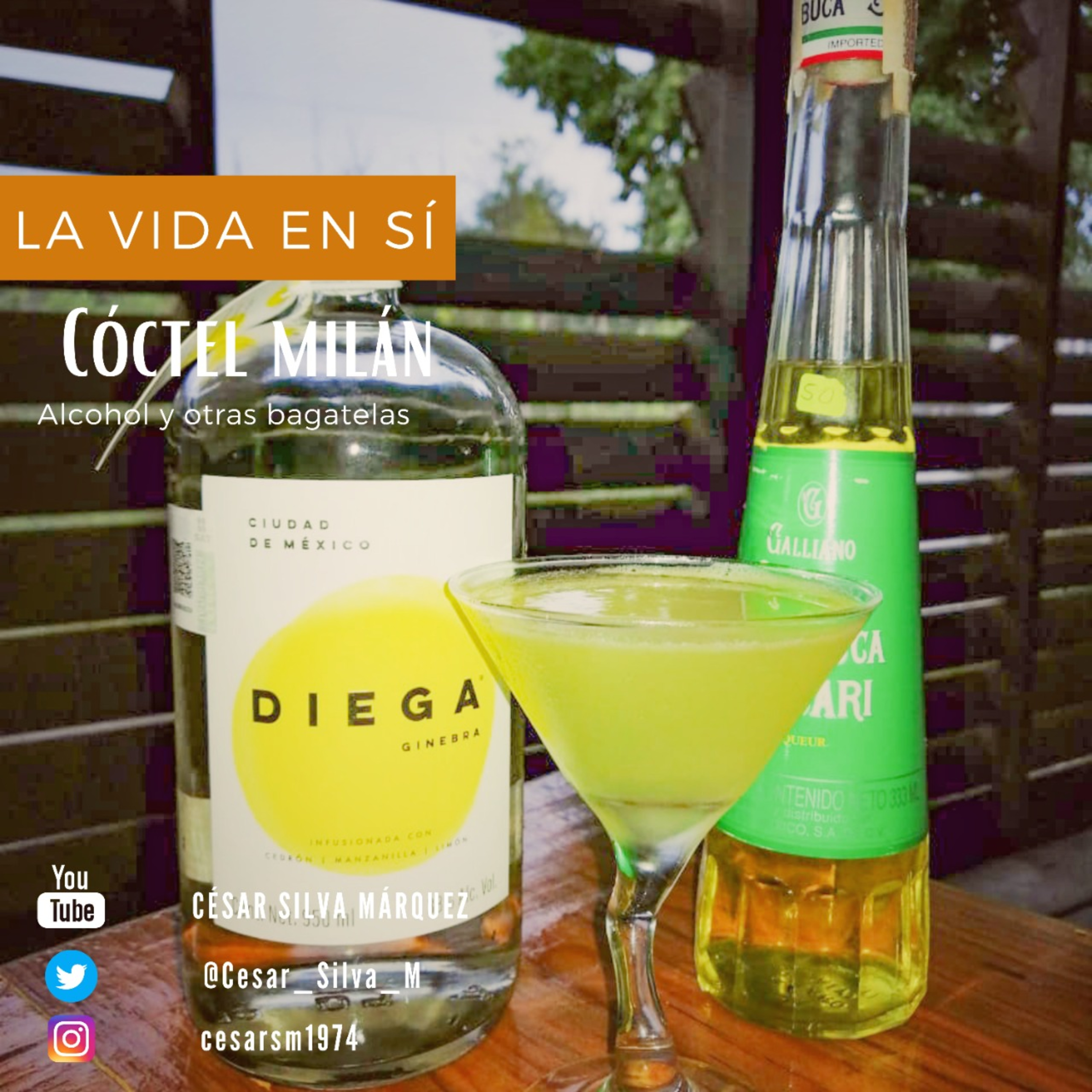 La vida en sí