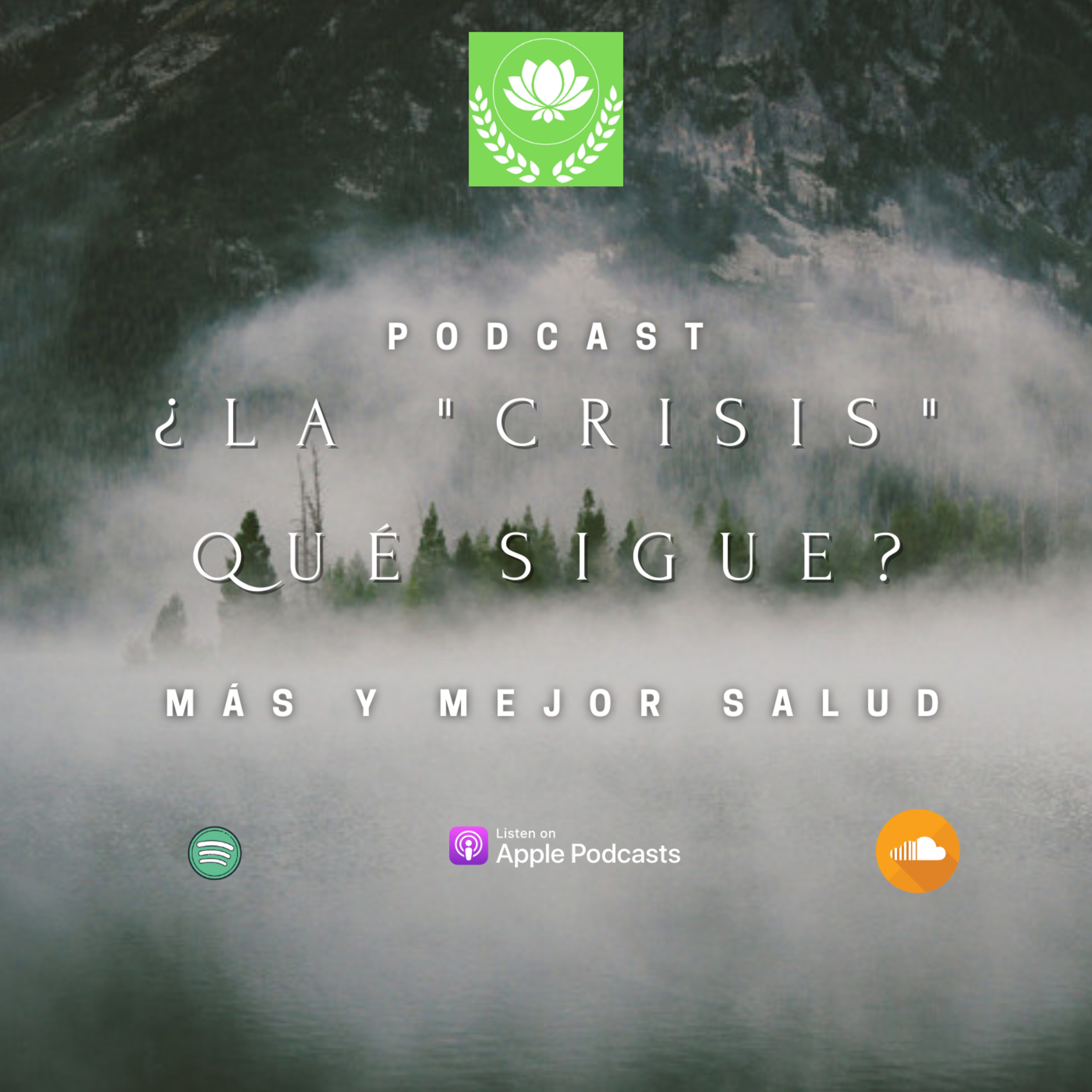¿La "CRISIS" que Sigue? episode artwork