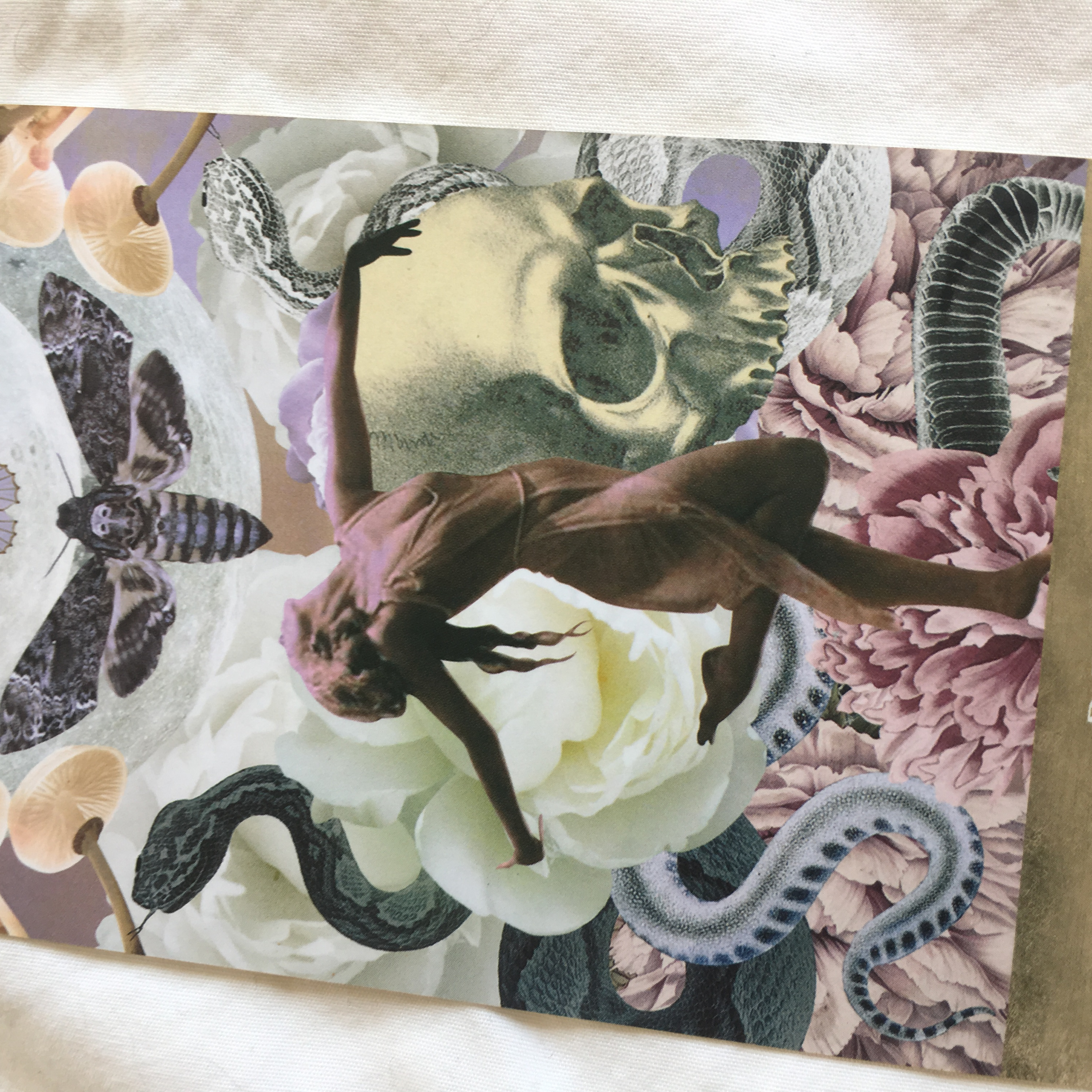 Urban Siren: Tarot for Modern Mermaids and Mystics