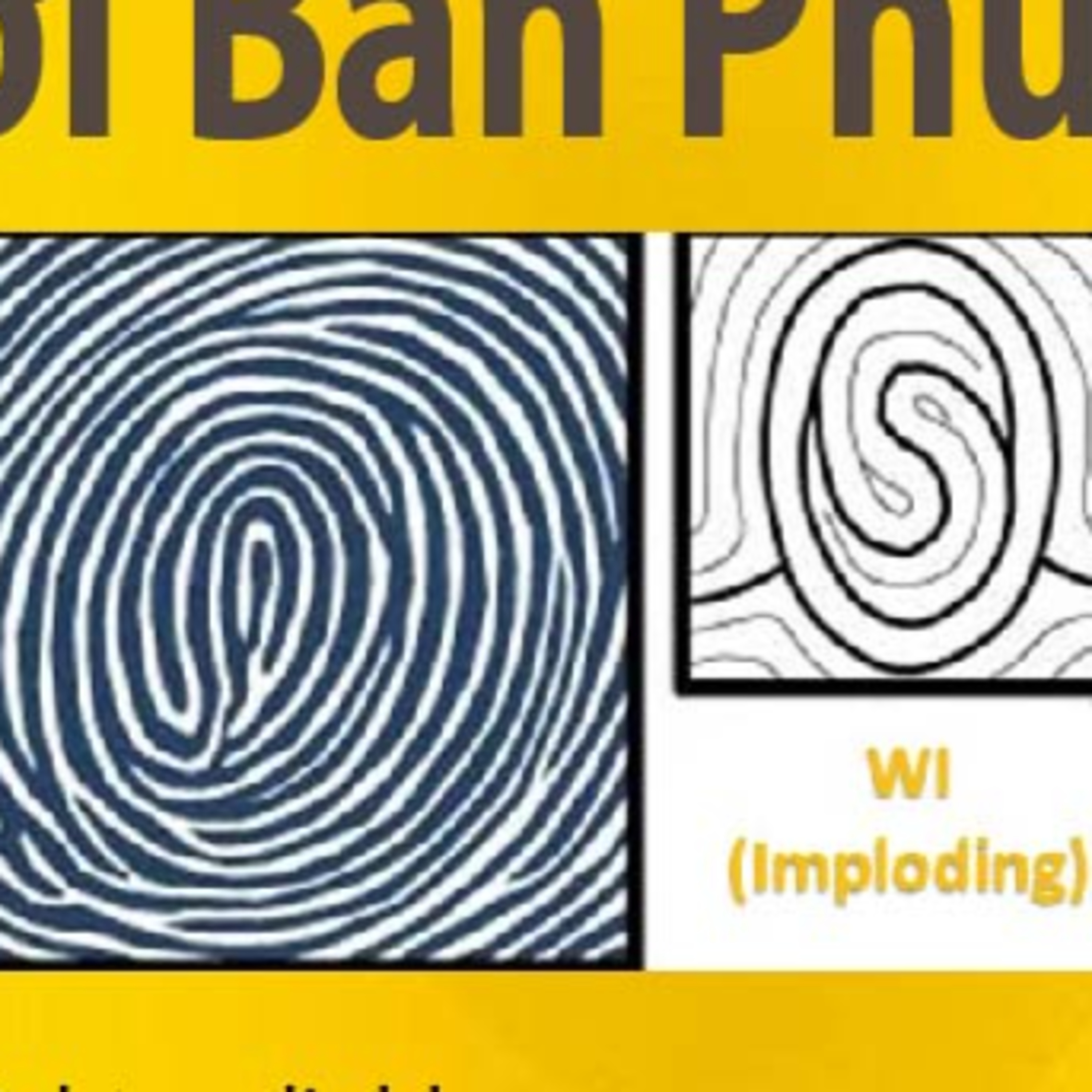 Chủng Wi Vân tay Tâm Linh- Người ban phúc có đặc điểm tính cách như nào? episode artwork