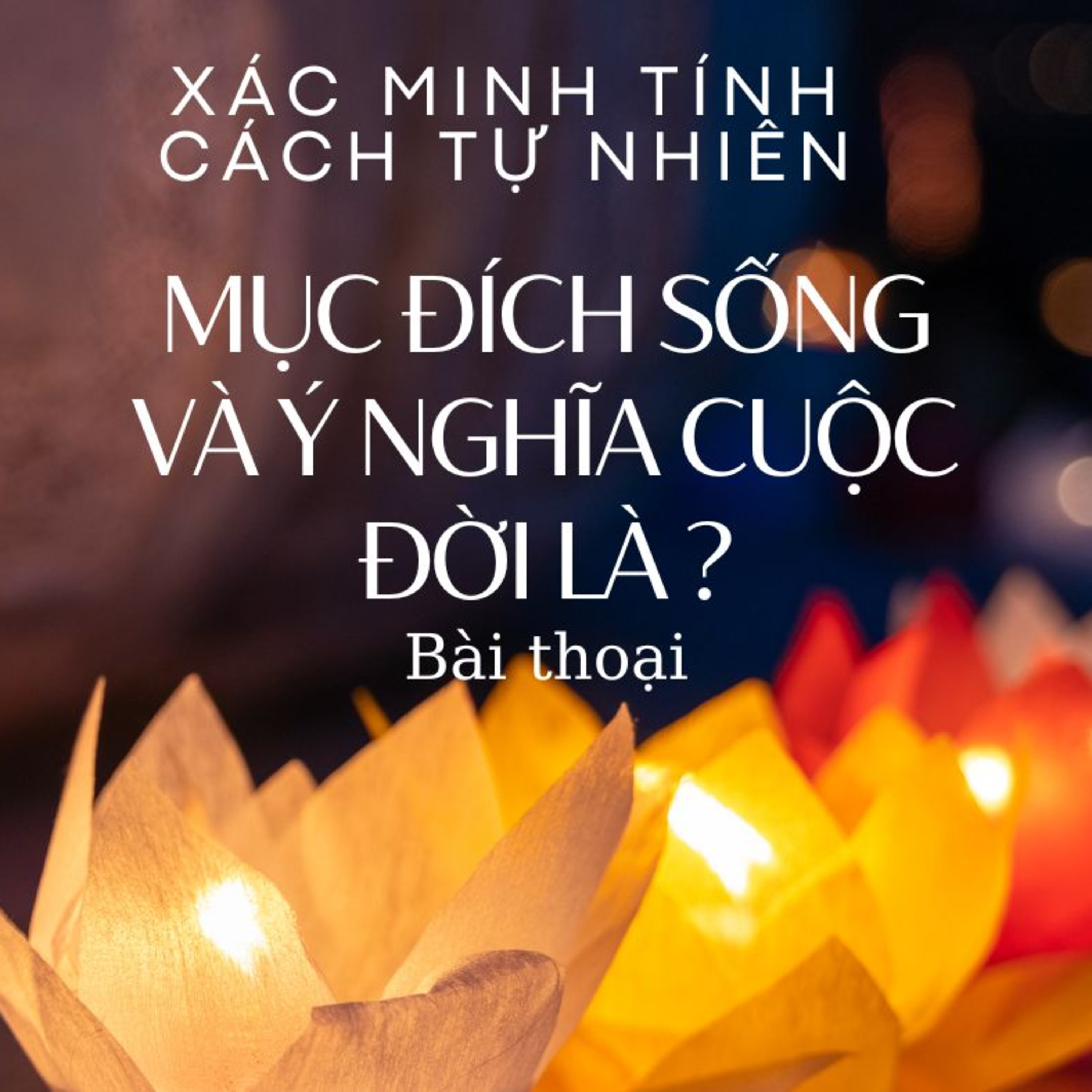 Mục đích sống và ý nghĩa cuộc đời của ta là gì? Thiết lập niềm tin và chân lý sống! episode artwork