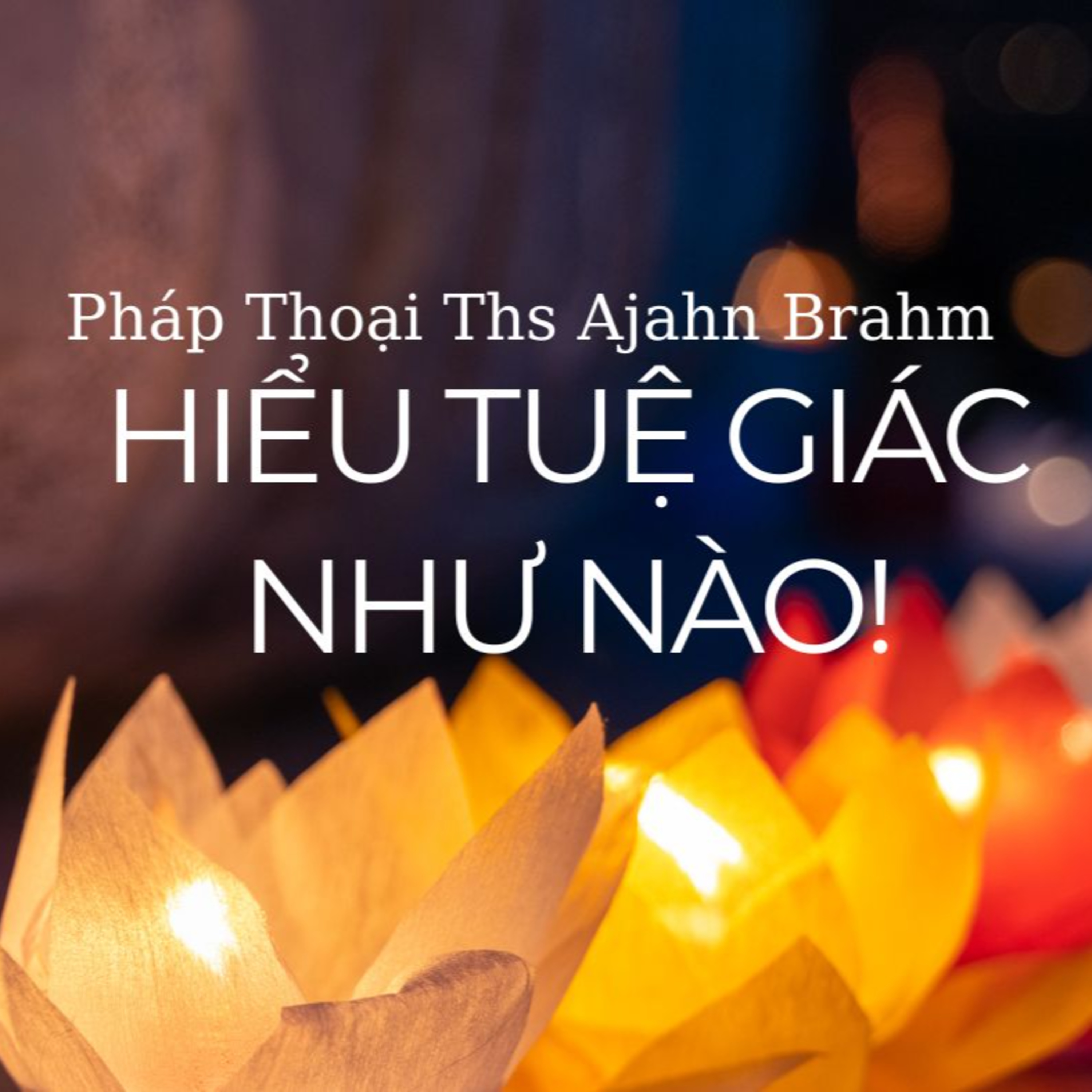 Hiểu về Tuệ Giác là ? Thiền sư Ajahn Brahm episode artwork