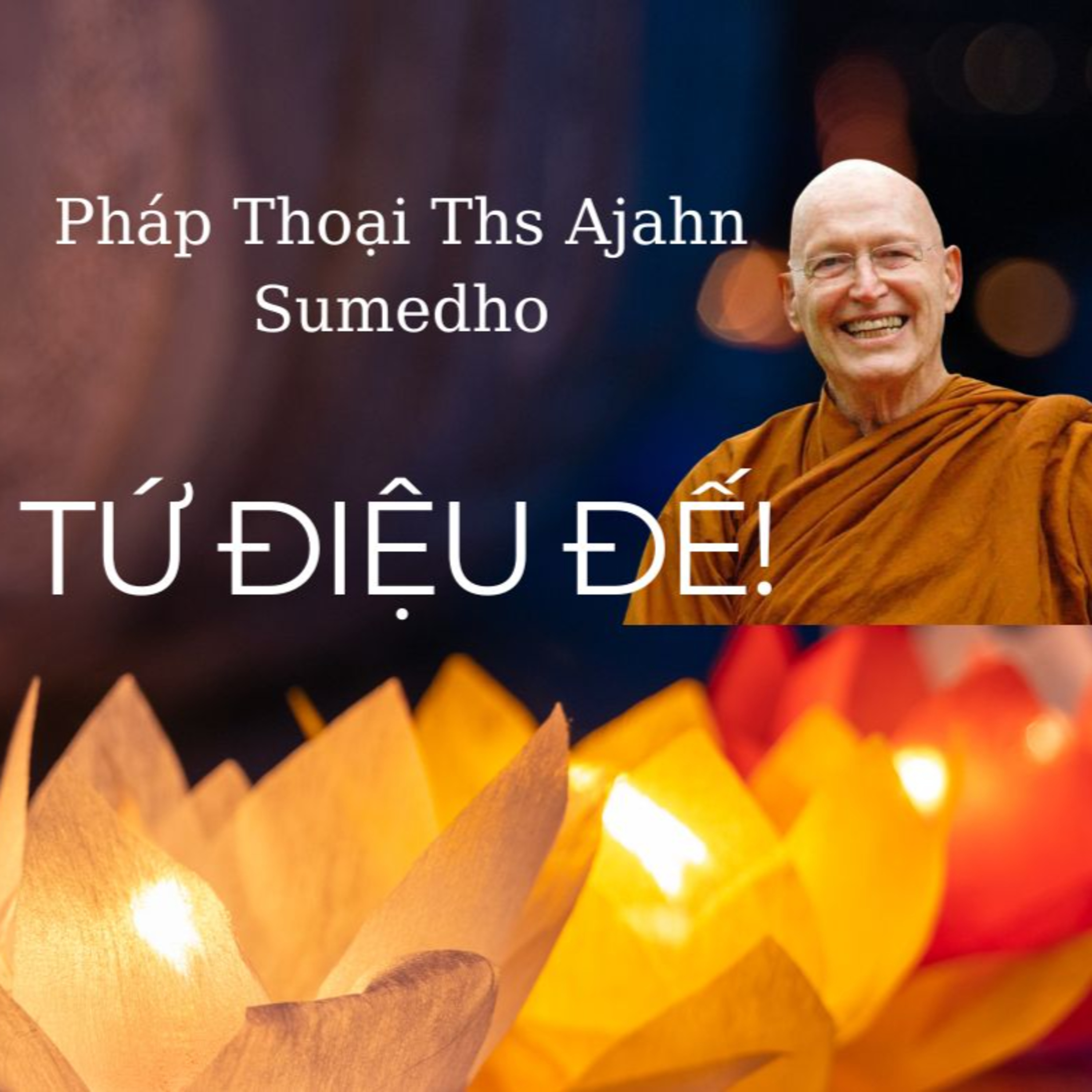 Bài thoại giảng về Tứ Diệu Đế - Bài chuyển pháp Thiền sư Ajahn Sumedho episode artwork