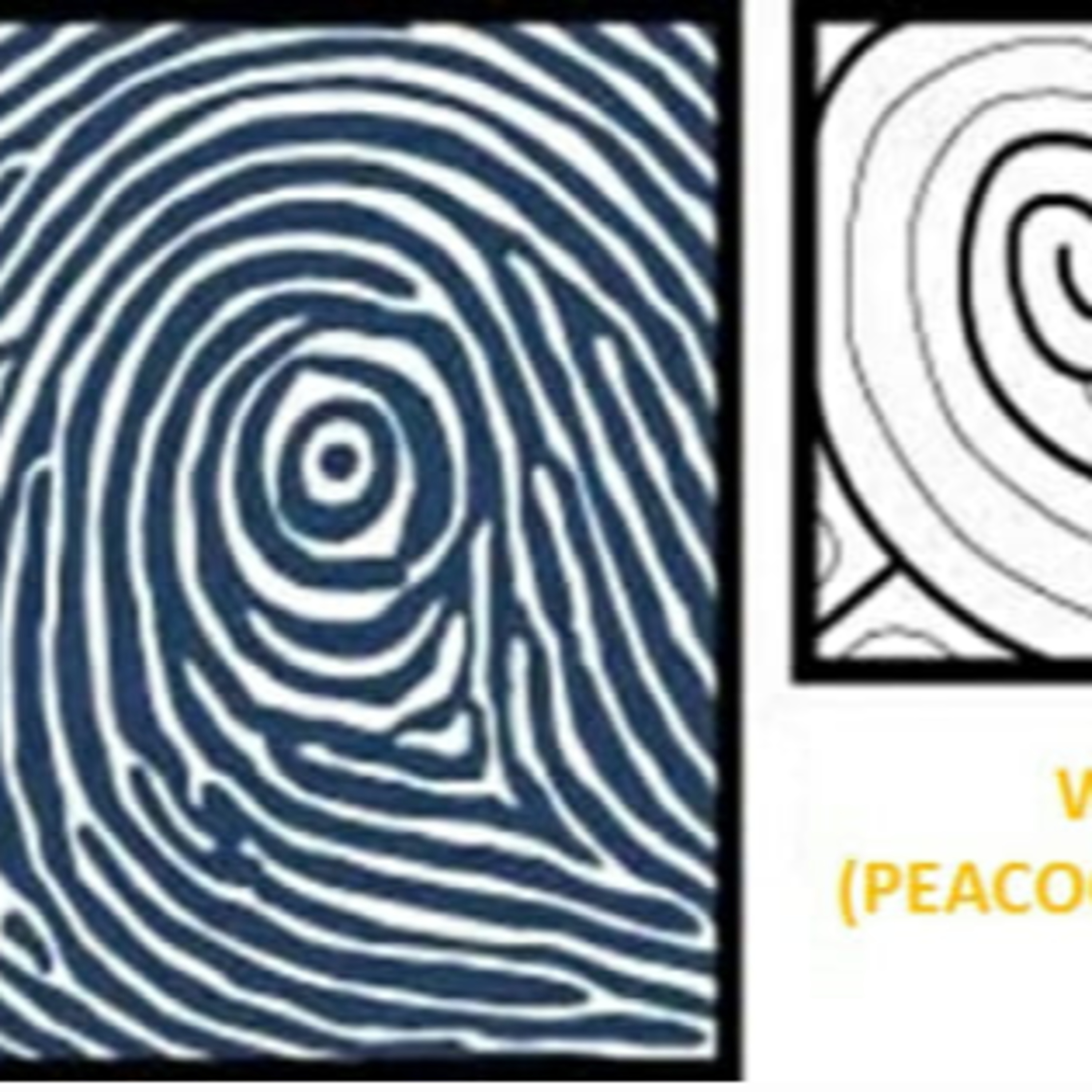 Vân tay mắt công Thần Thánh WP - Whorl Peacoke eyes episode artwork