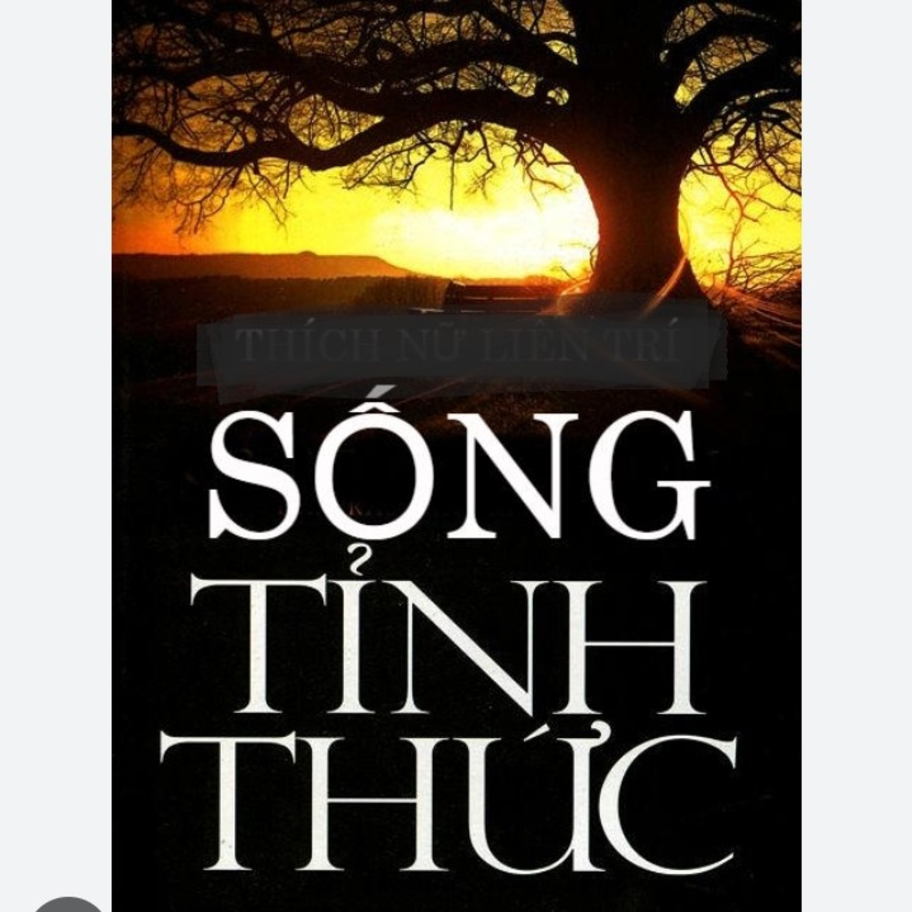 Cách thiết lập đời sống tỉnh thức episode artwork