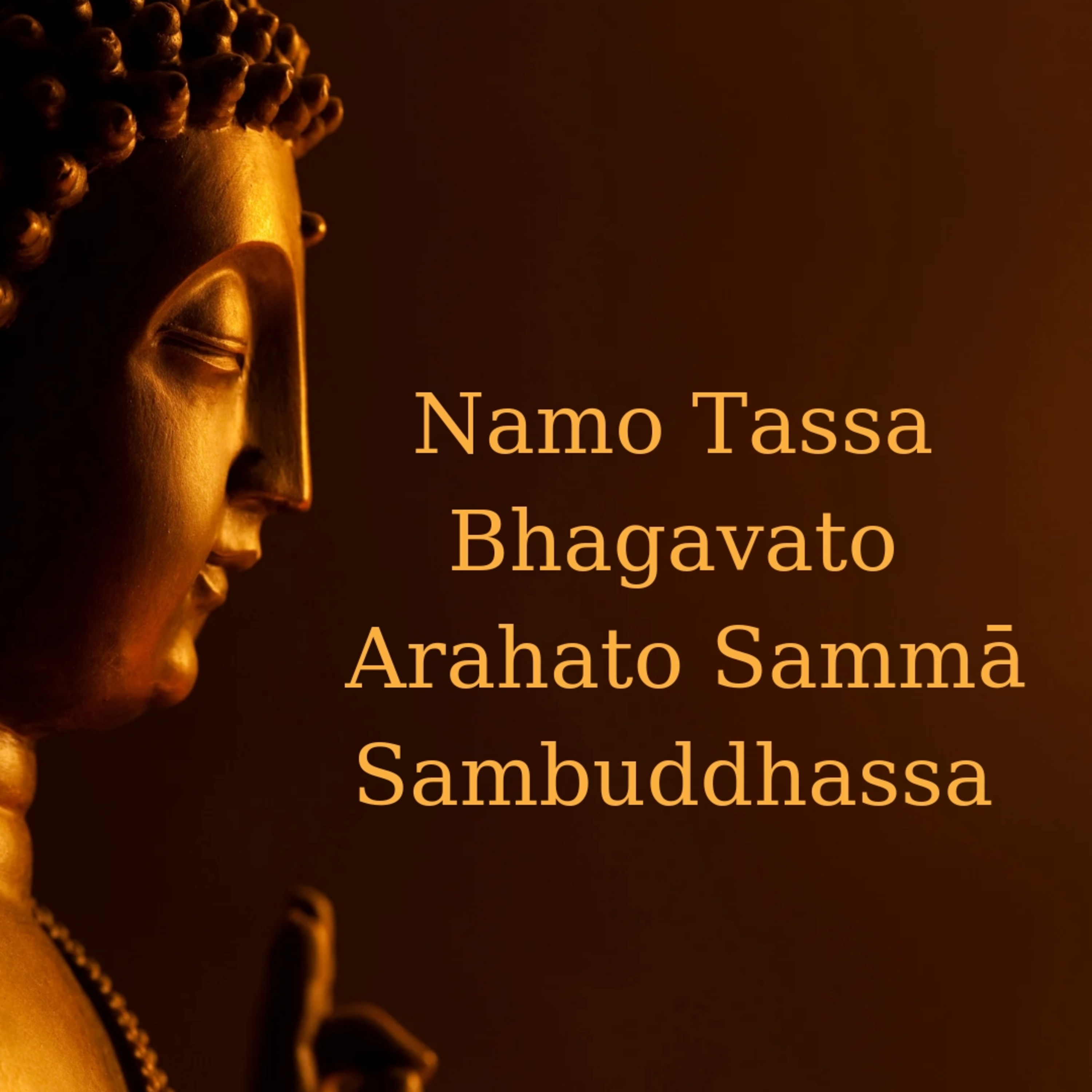 Namo Tassa Bhavagato Arahato Samma Sambuddhassa episode artwork