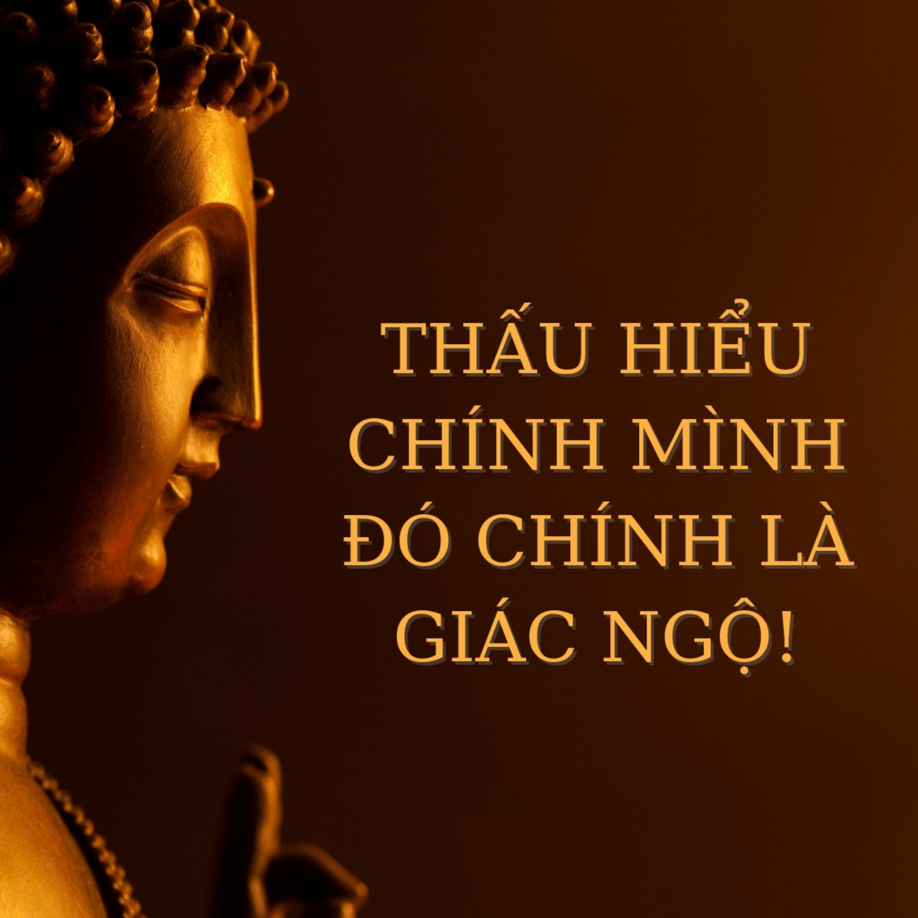 Thấu hiểu được mình chính là giác ngộ. episode artwork