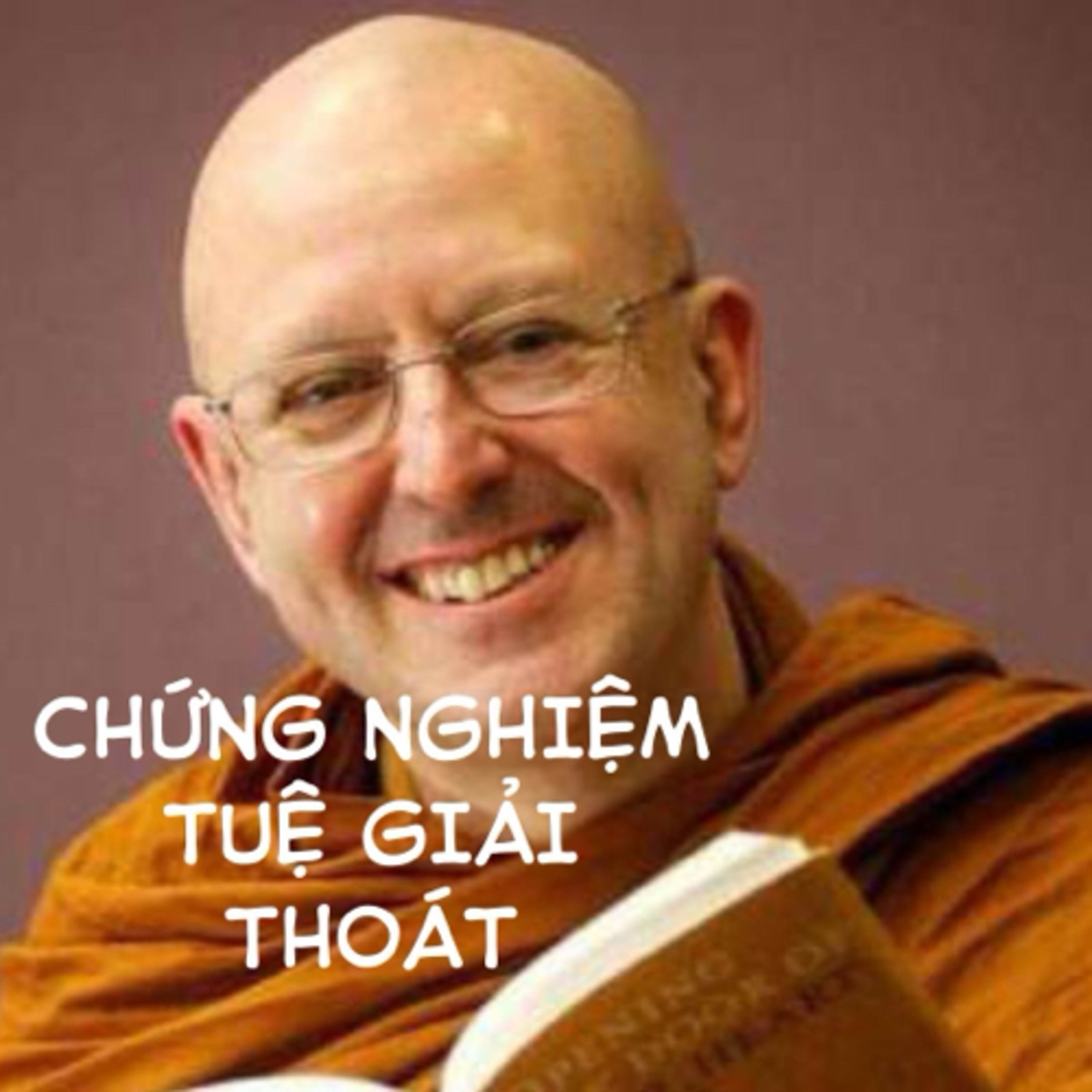 Chứng nghiệm tuệ giác tự do từ Thiền sư Ahjan Brahamvaso episode artwork