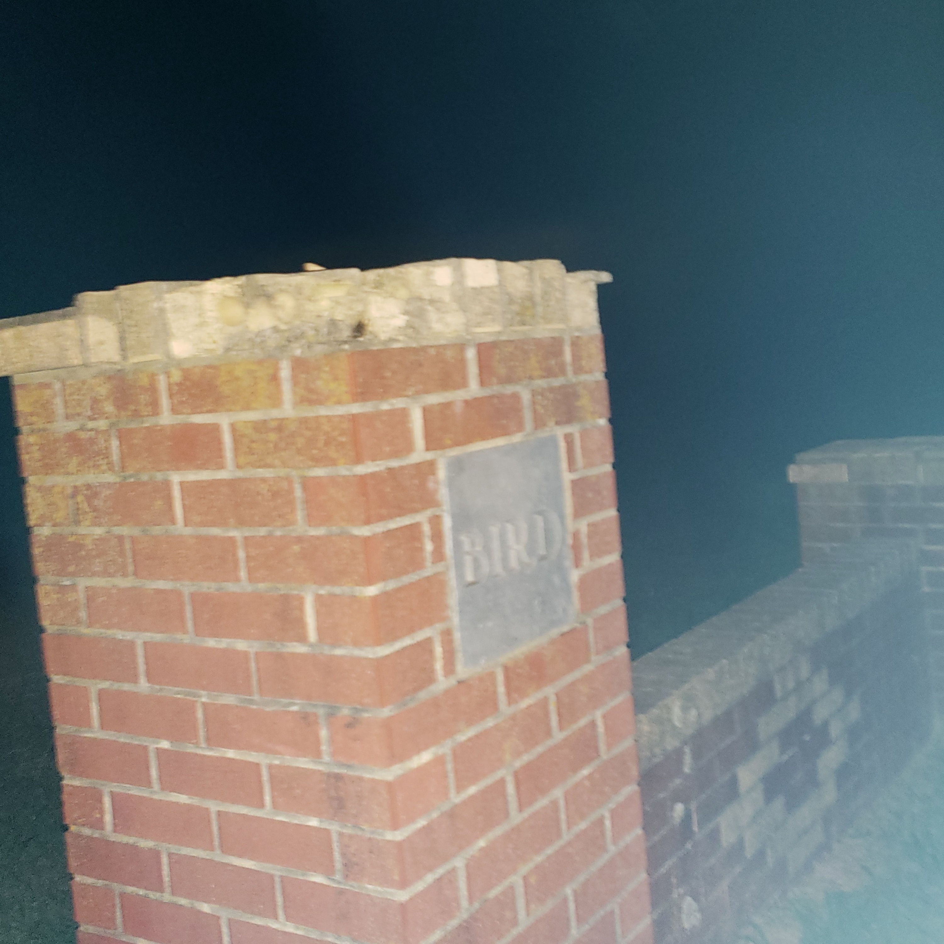 Scary Stories from a Graveyard