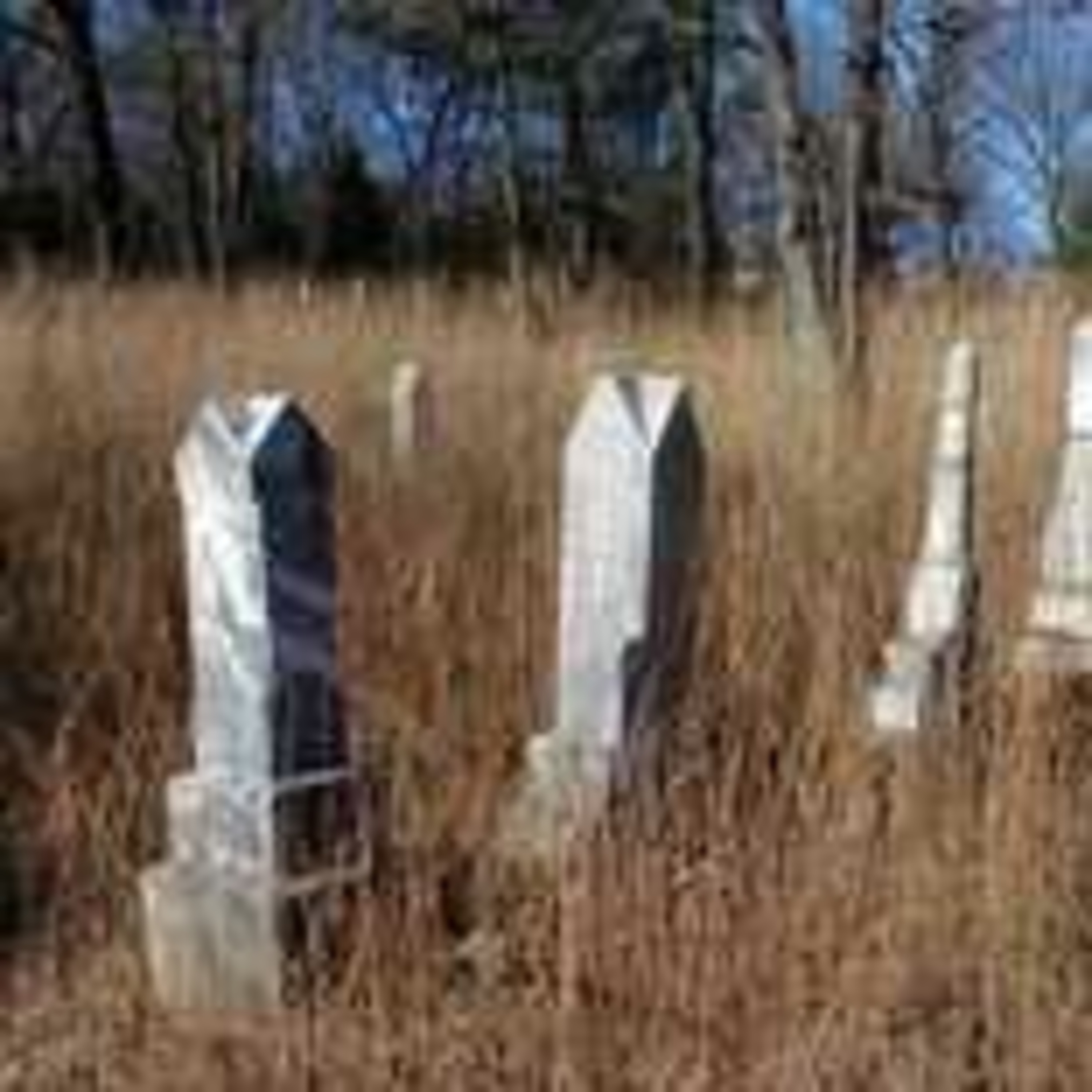Scary Stories from a Graveyard