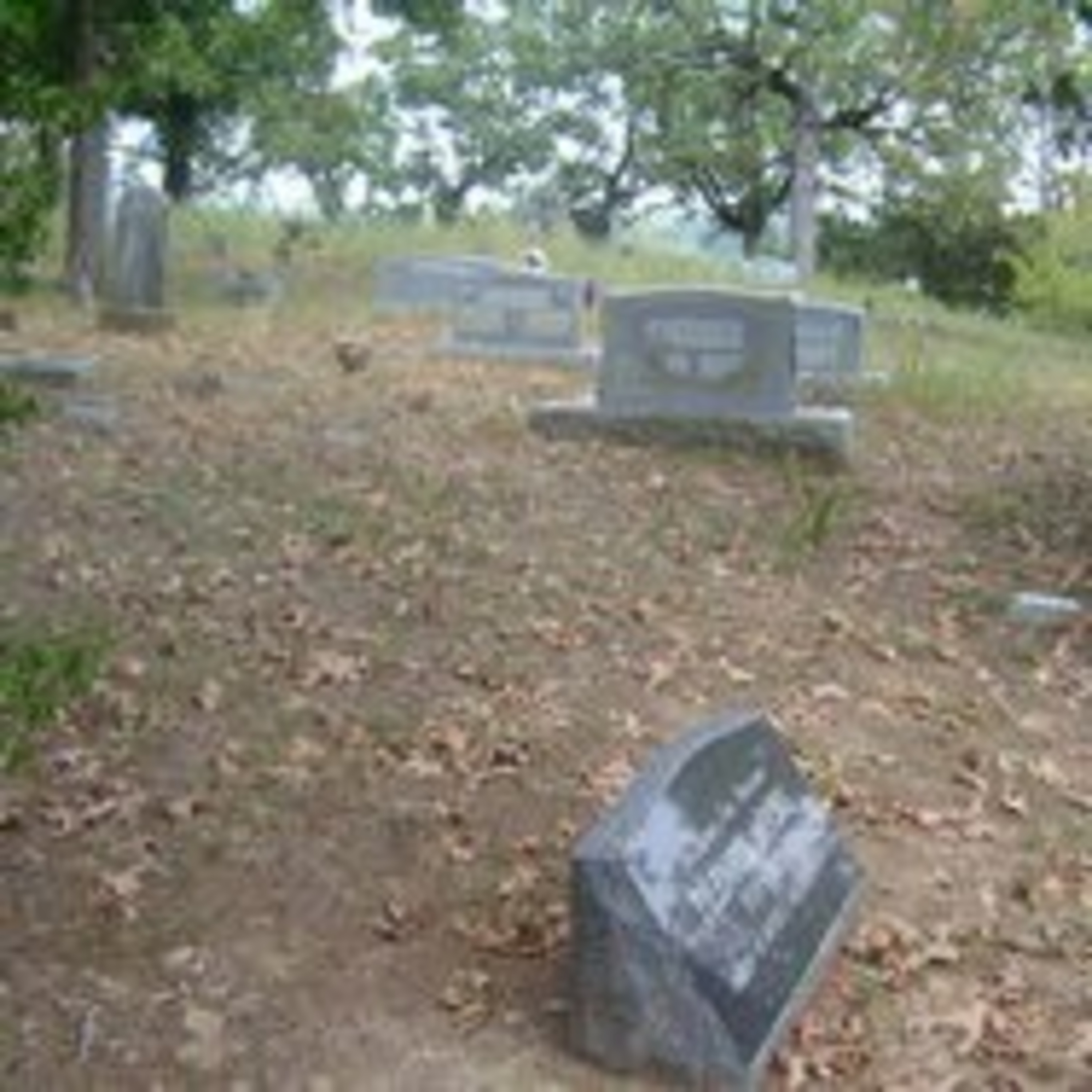 Scary Stories from a Graveyard