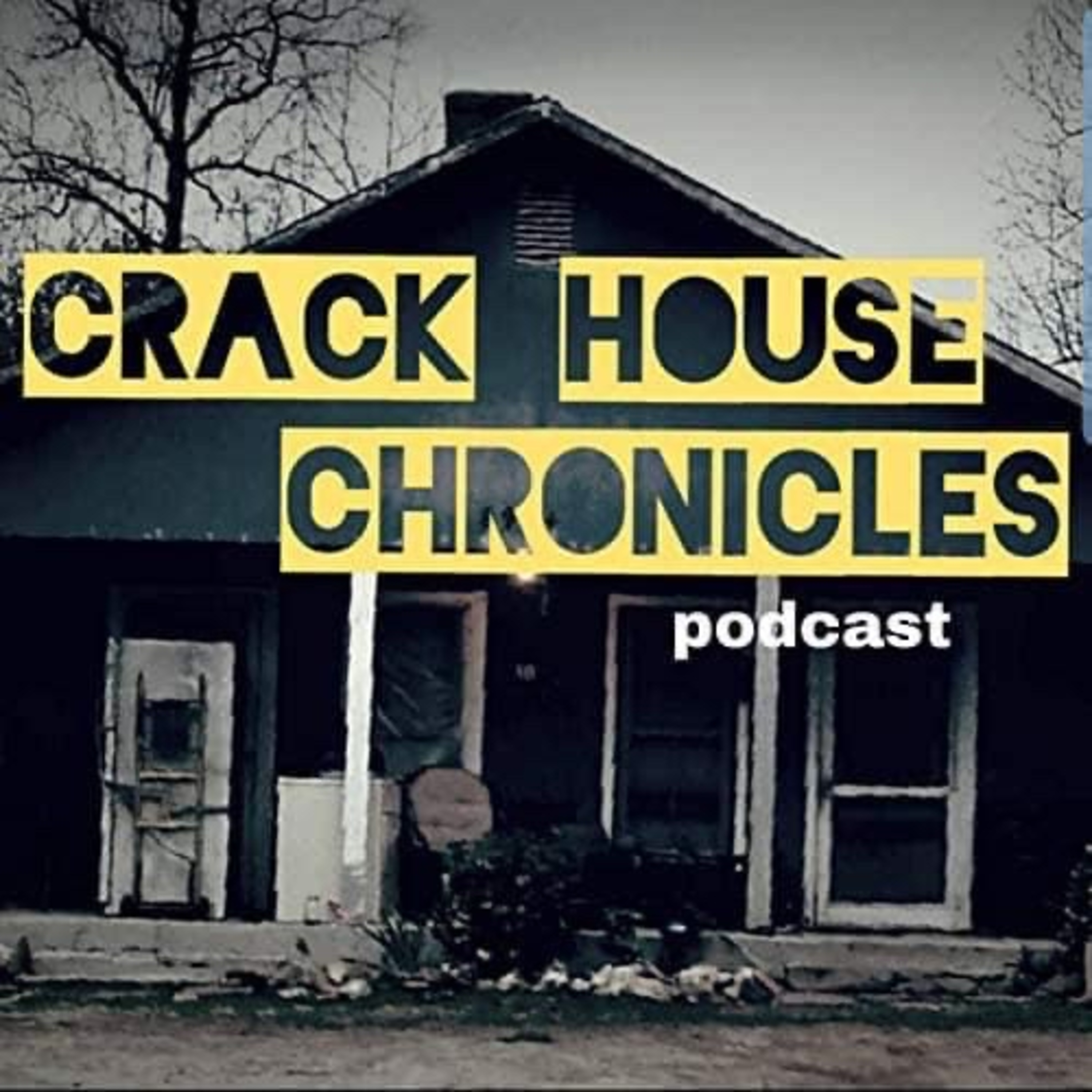 True Crime Broads