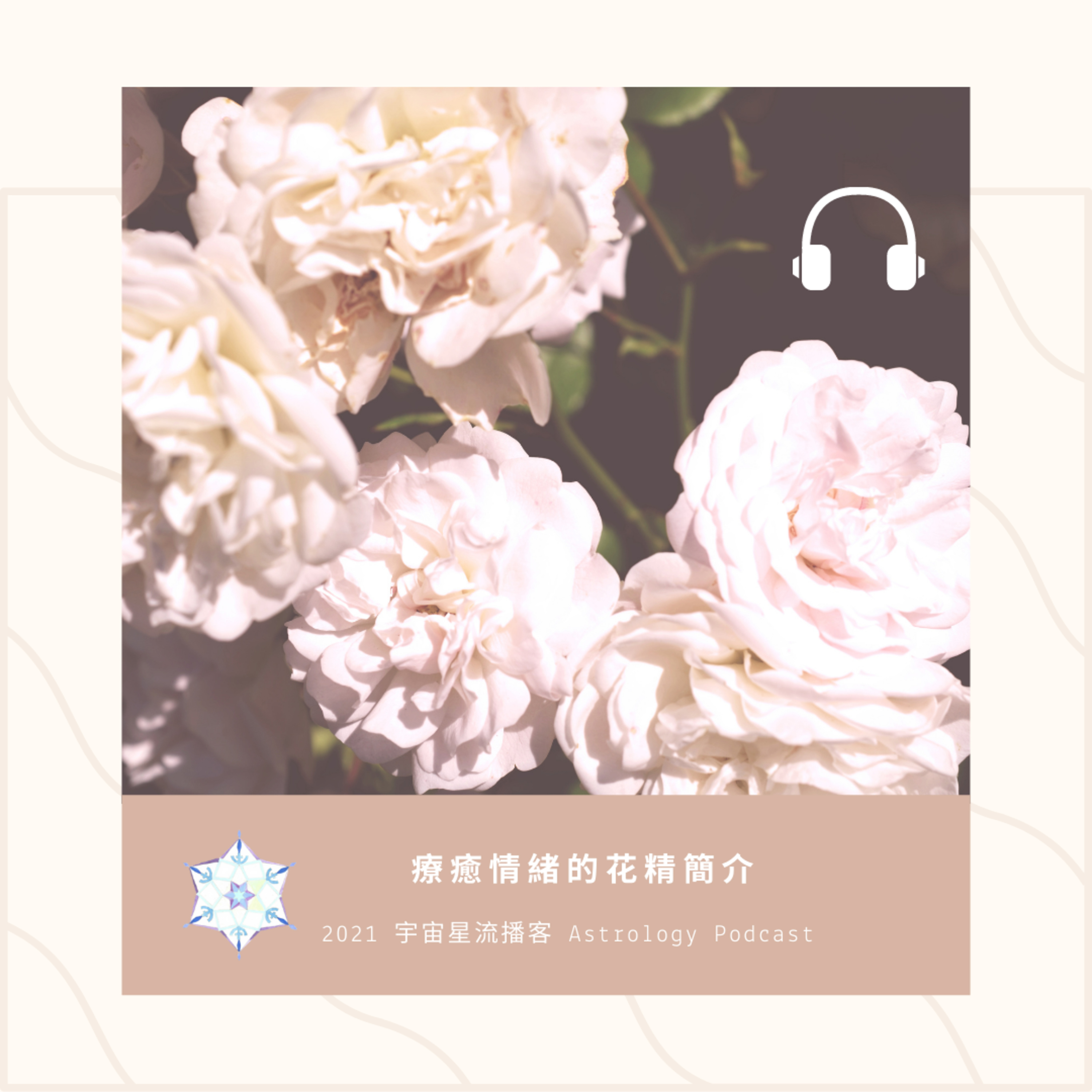 療癒情緒的花精簡介 episode artwork