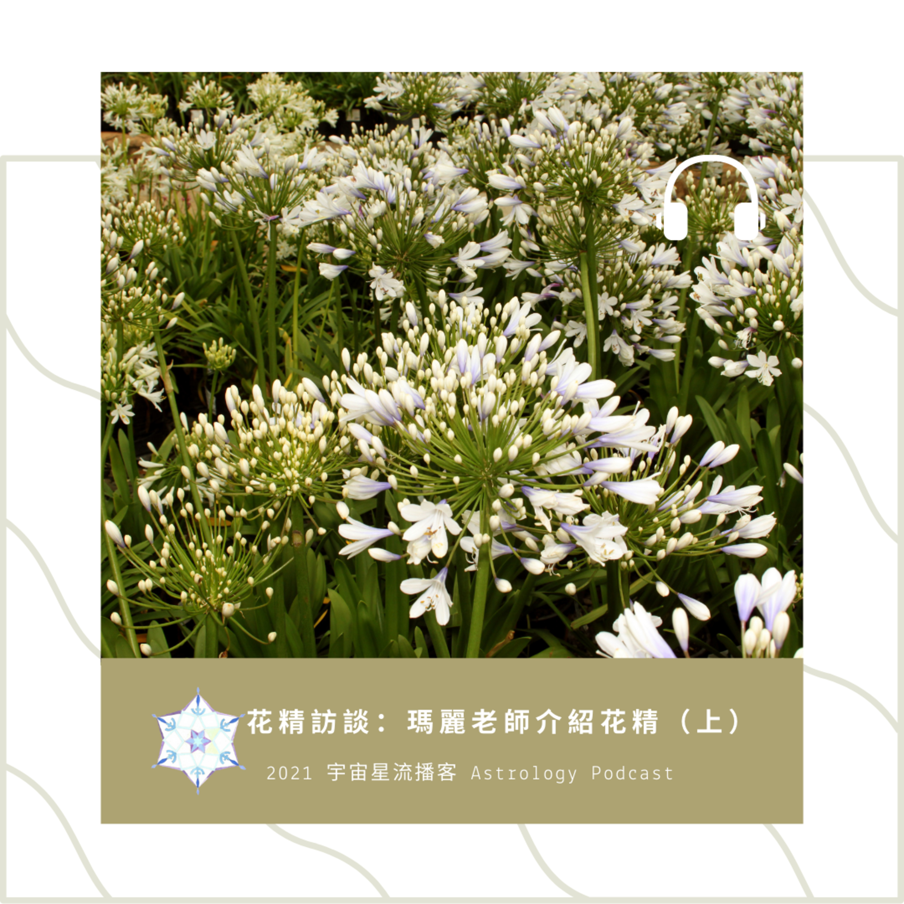 花精訪談：瑪麗老師介紹花精（上） episode artwork