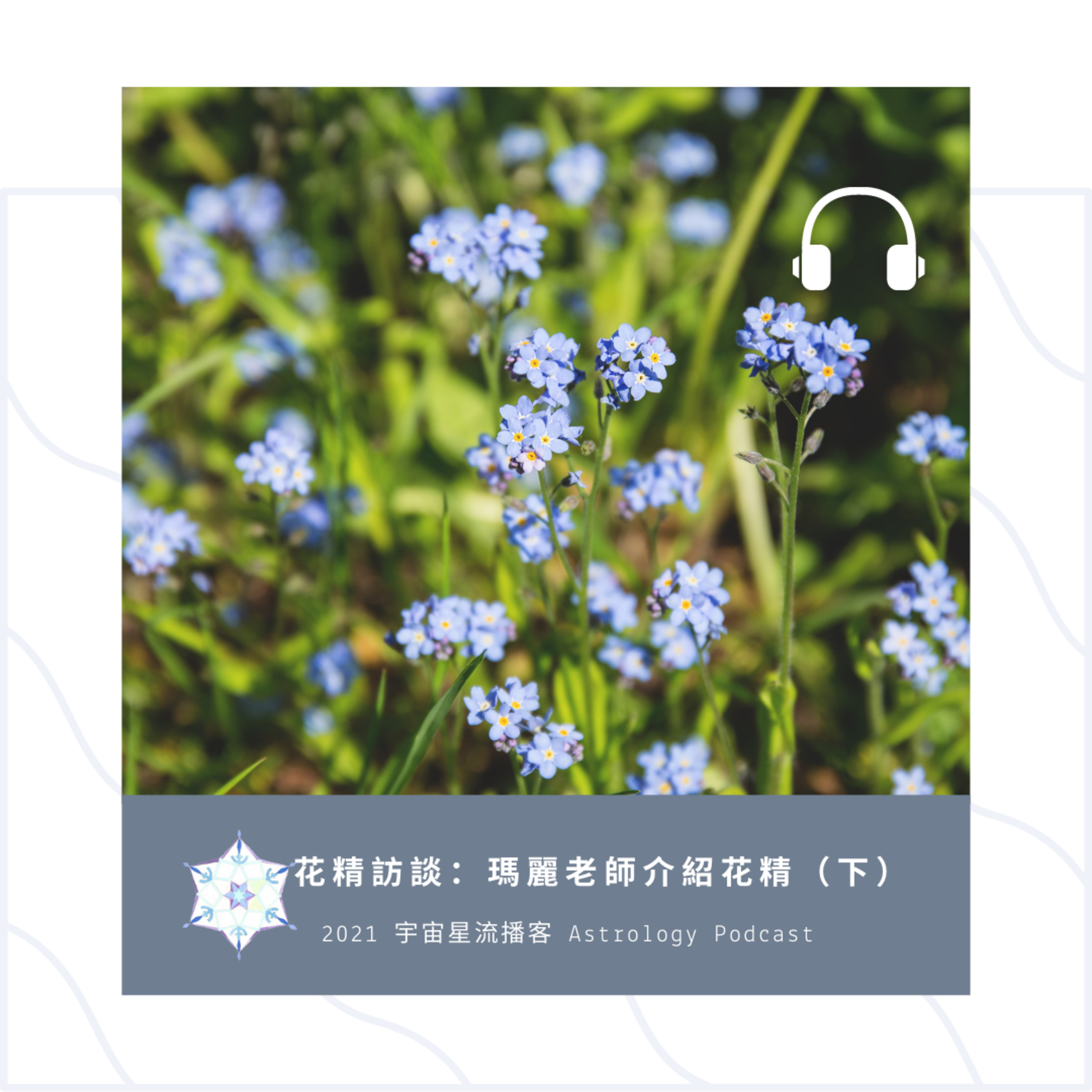瑪麗老師花精訪談（下） episode artwork