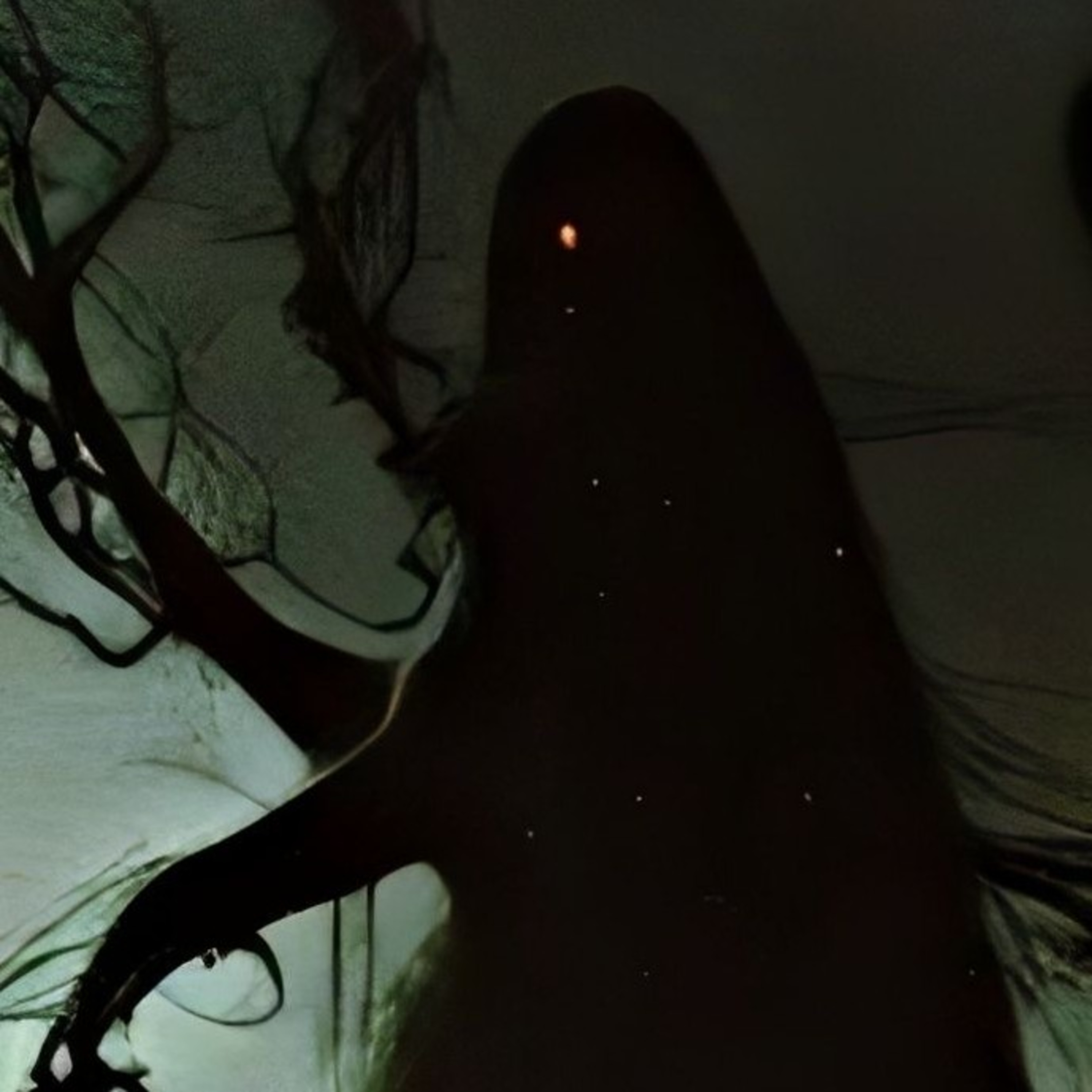 Miorel Creepypasta - Povesti de Groaza