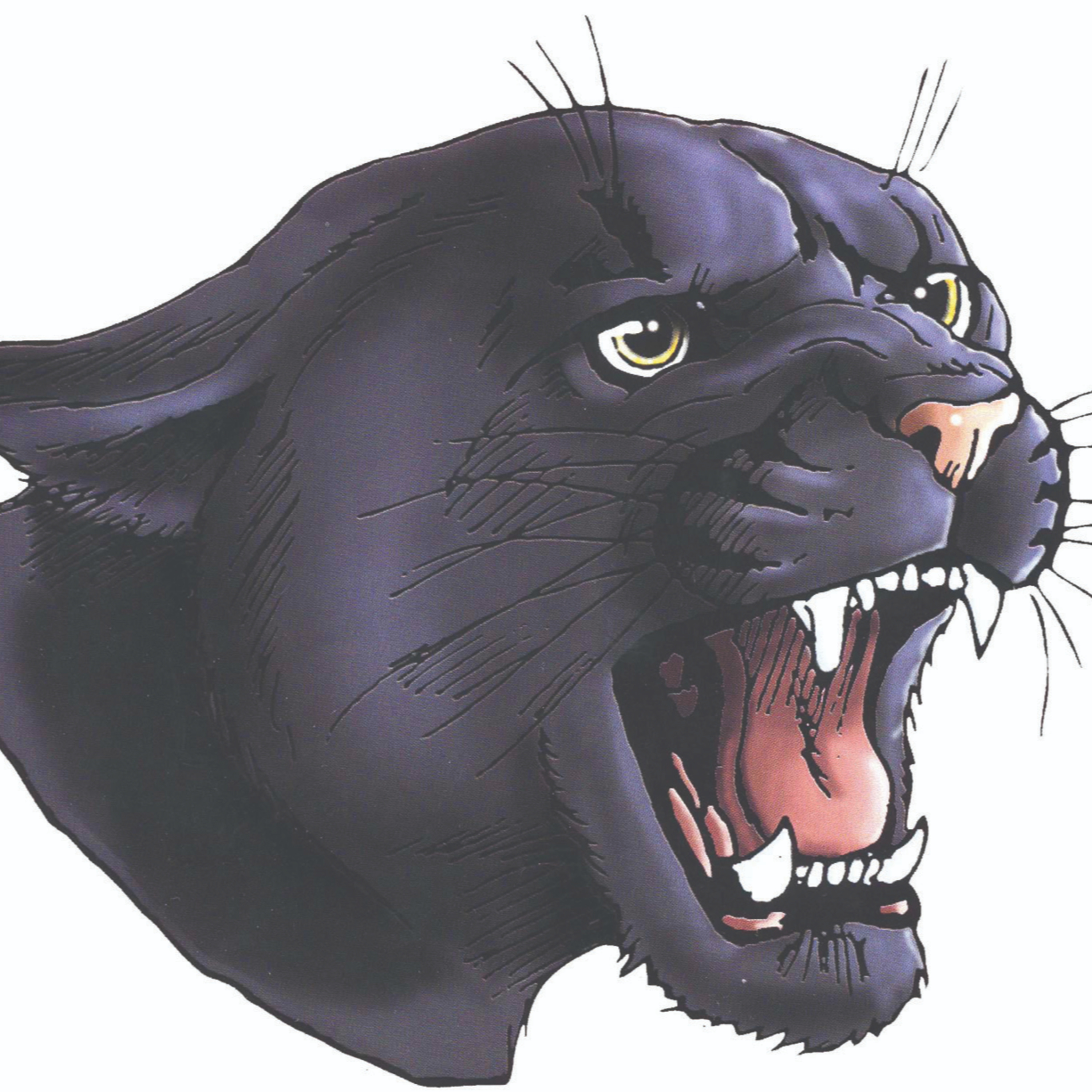 Panther PAWDcast