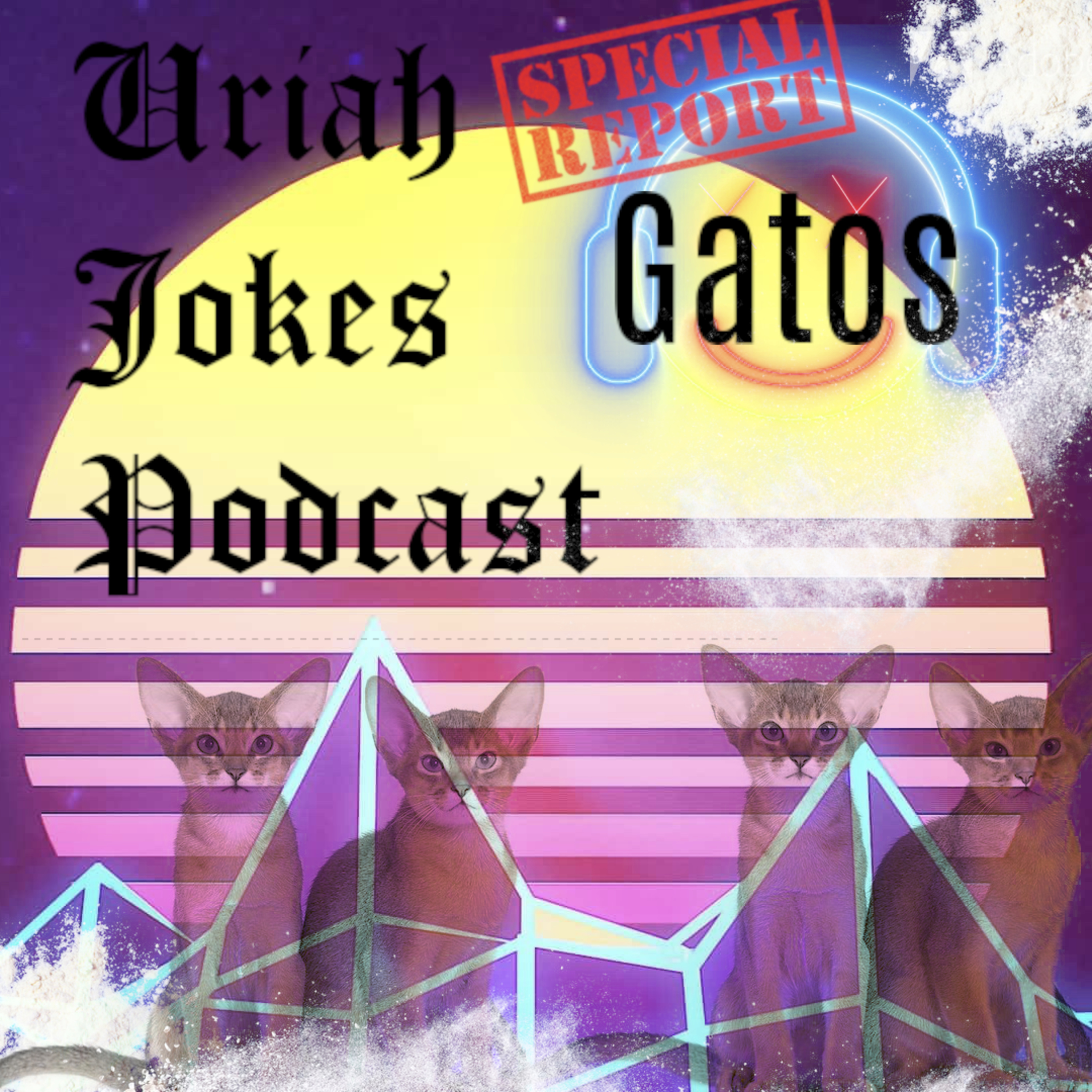 SPECIAL REPORT GATOS: Cartel Using Cats In Age Of Covid