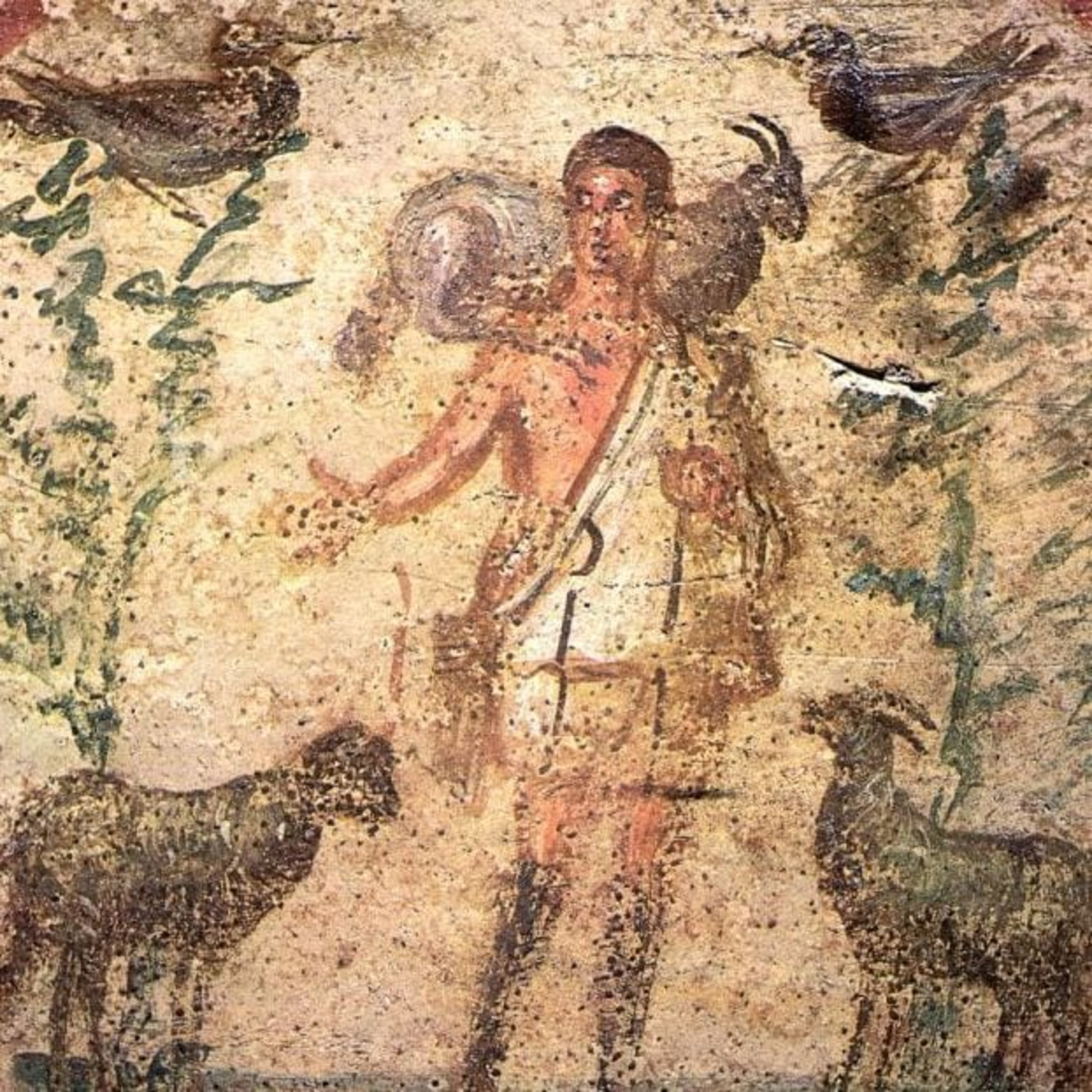 The Sheep and the Goats episode artwork