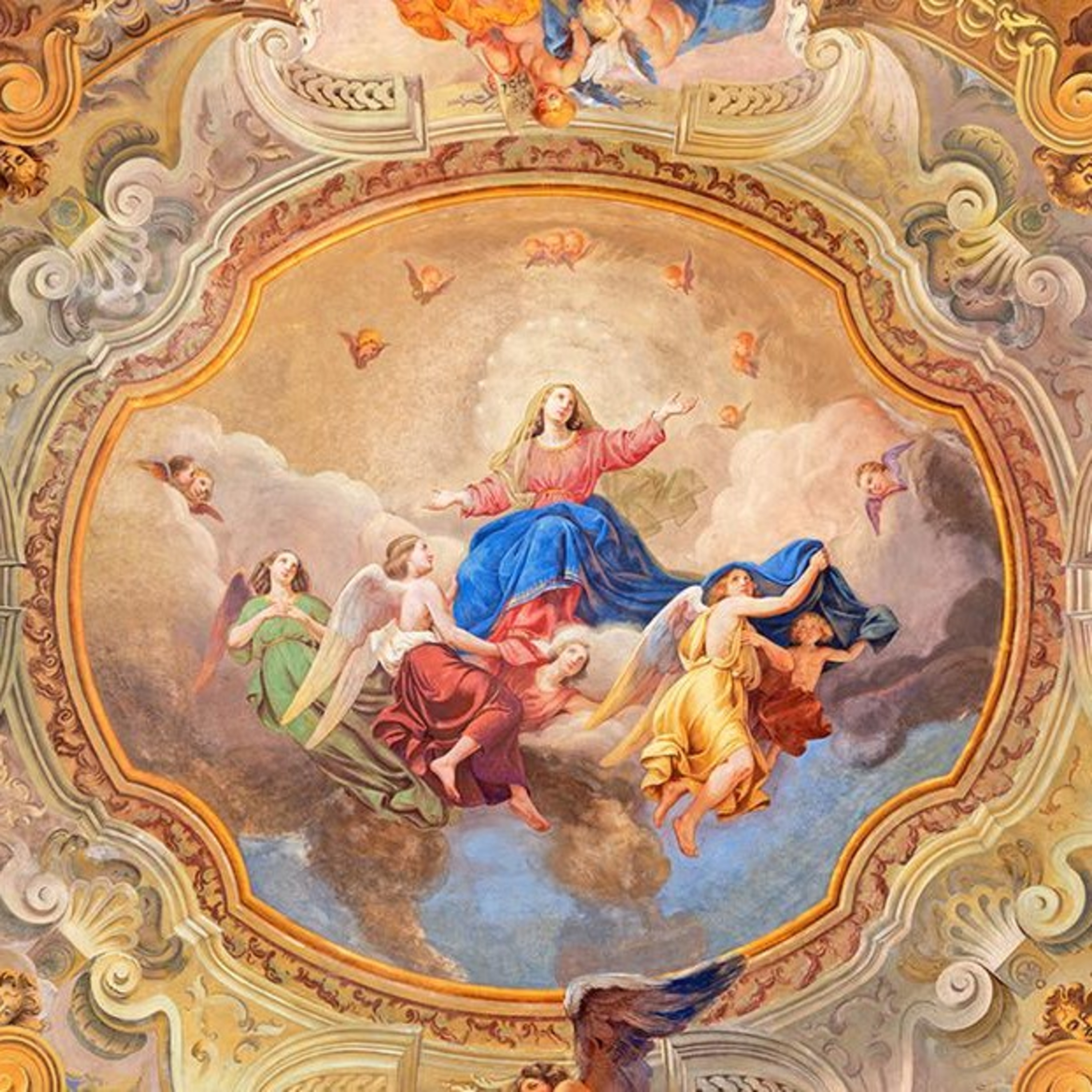 The Assumption of Mary? episode artwork