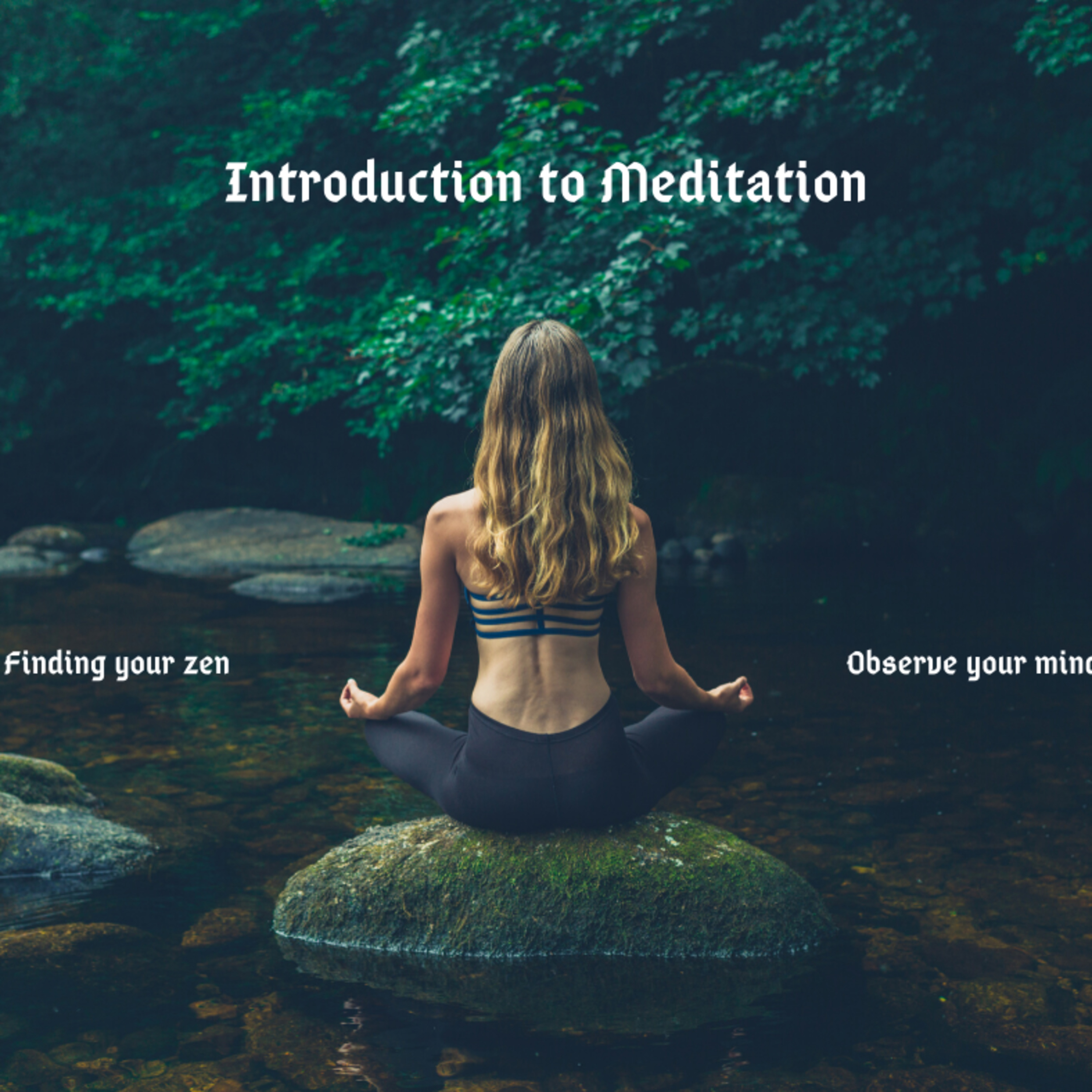 Journey Into Consciousness