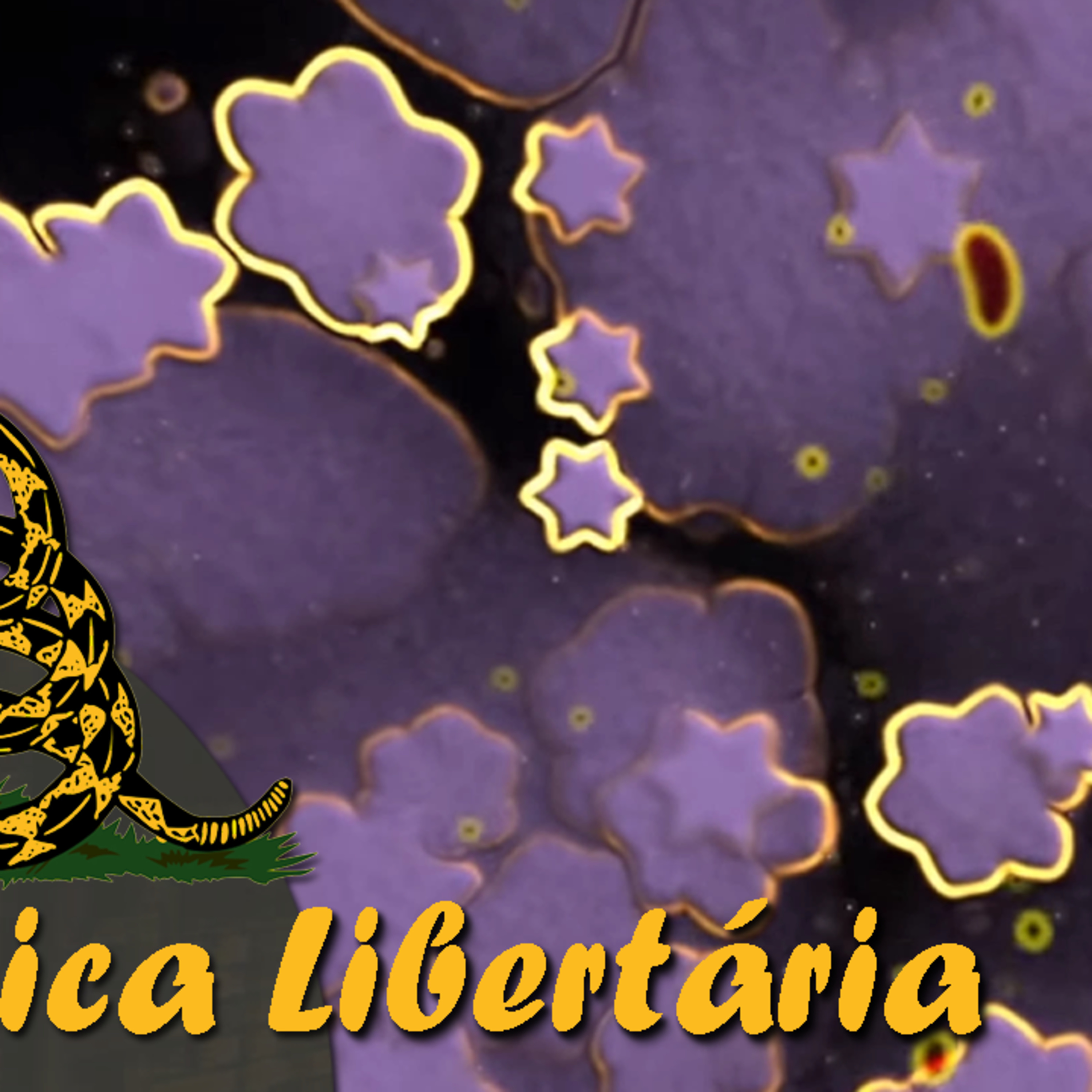 Qual o problema de proibir as drogas? episode artwork