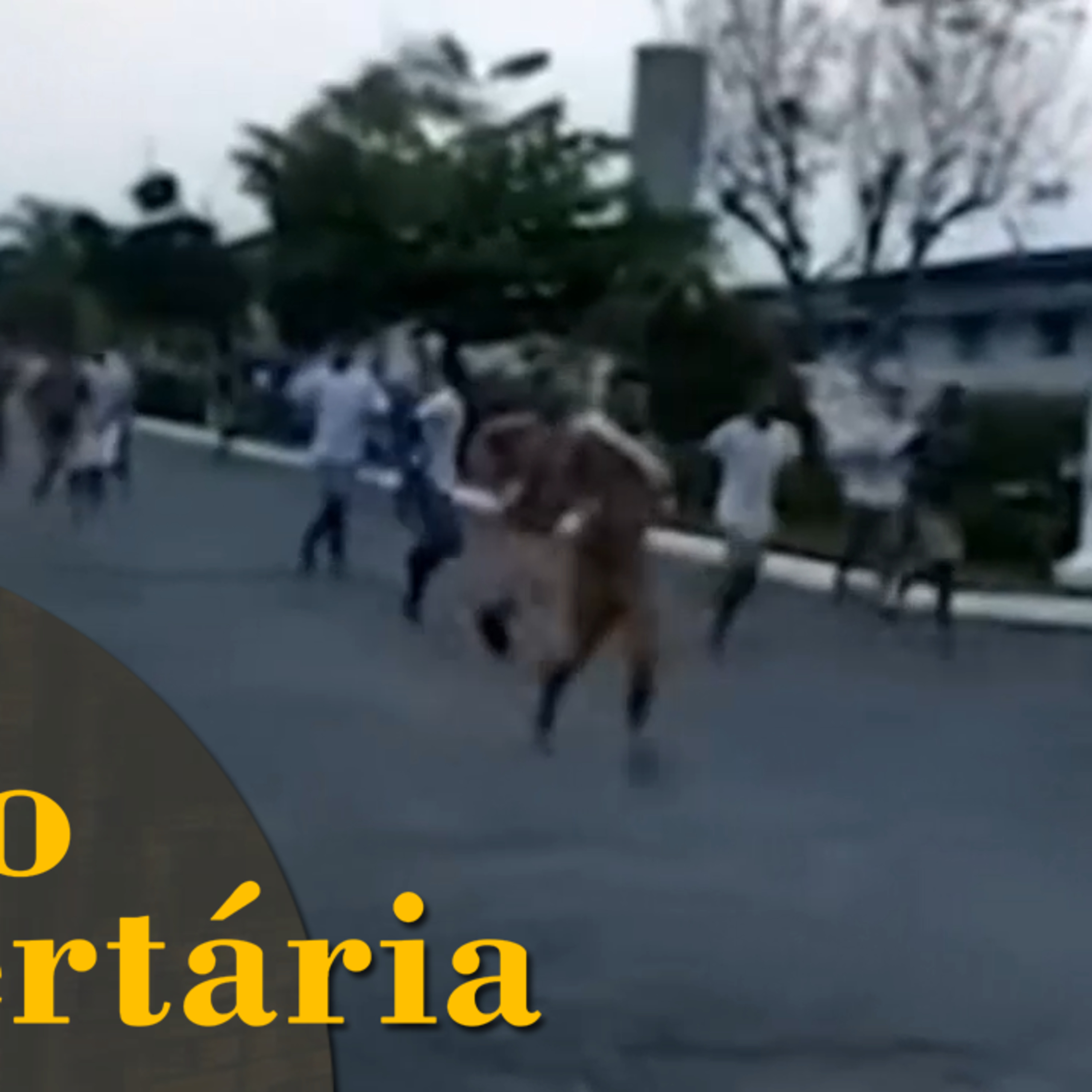 Como o estado causa a ruína do sistema de justiça episode artwork