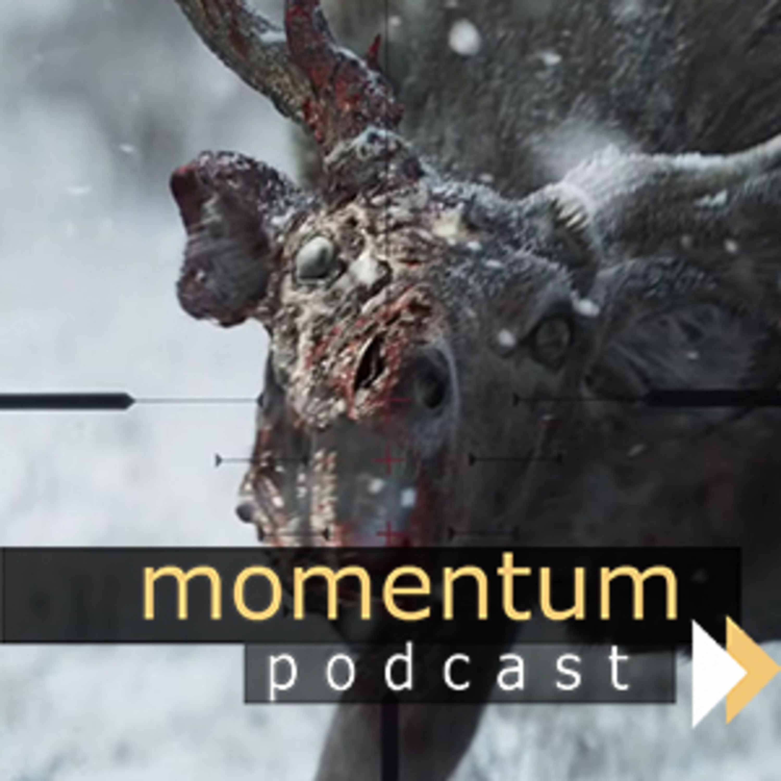 Momentum Podcast