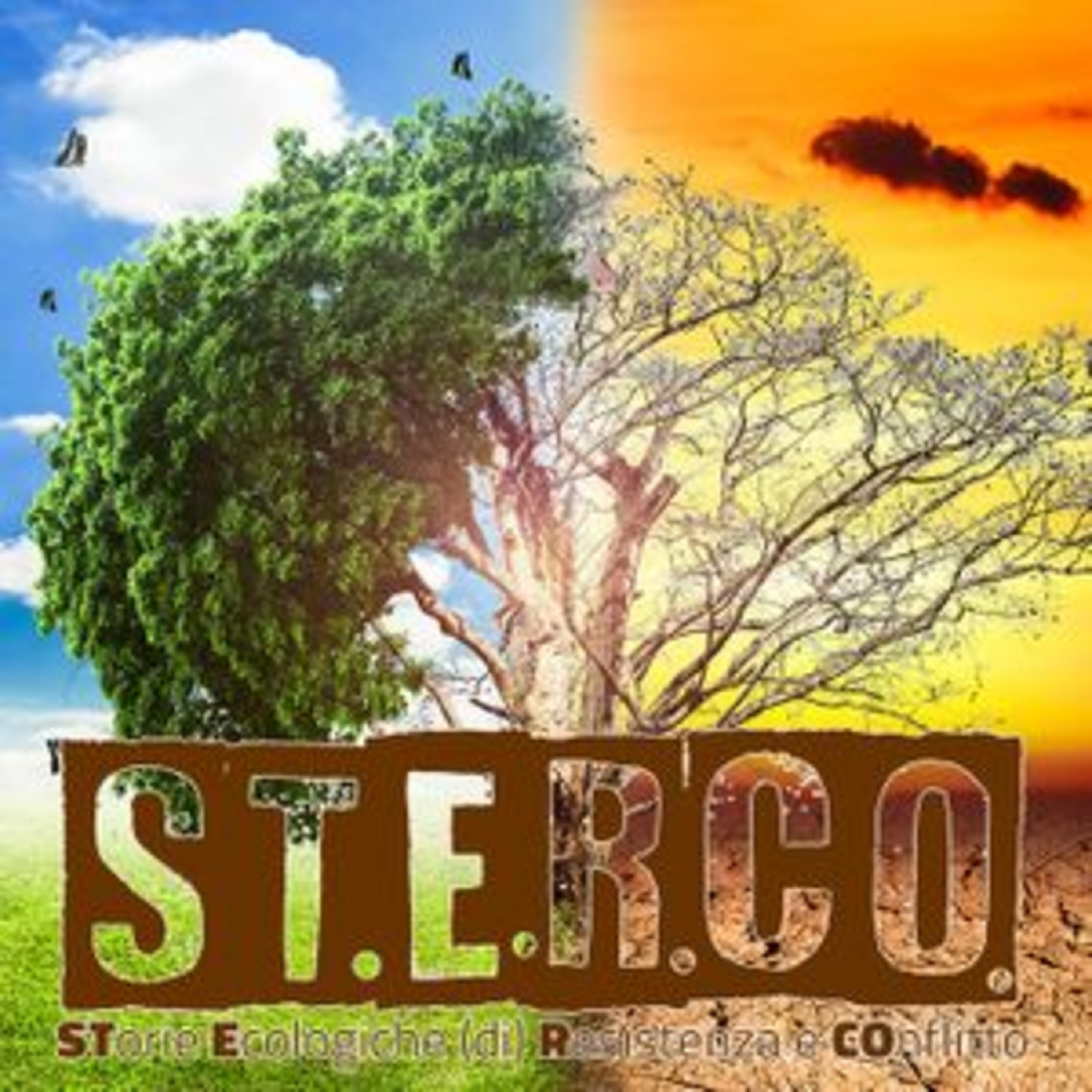 STorie Ecologiche di Resistenza e COnflitto