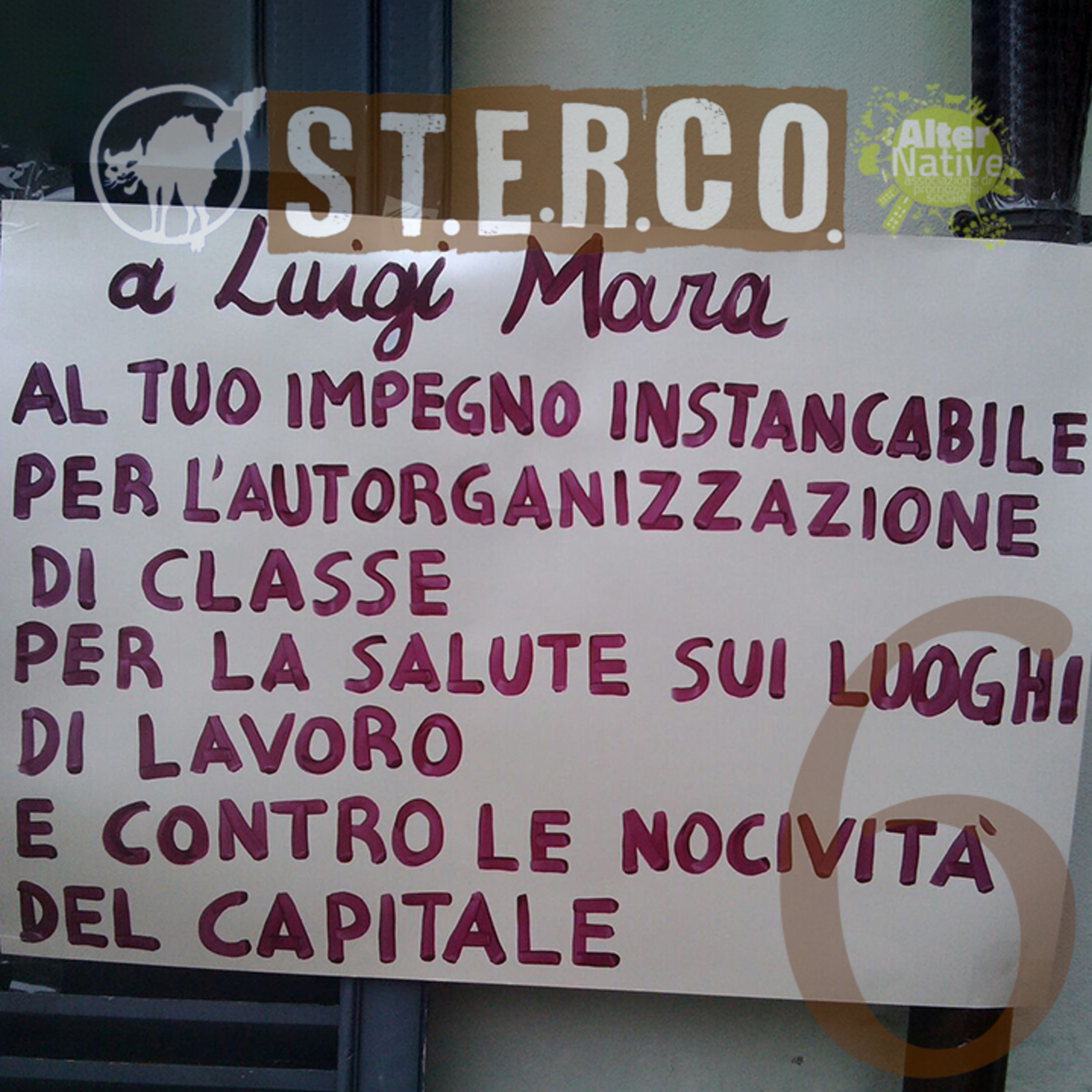 STorie Ecologiche di Resistenza e COnflitto