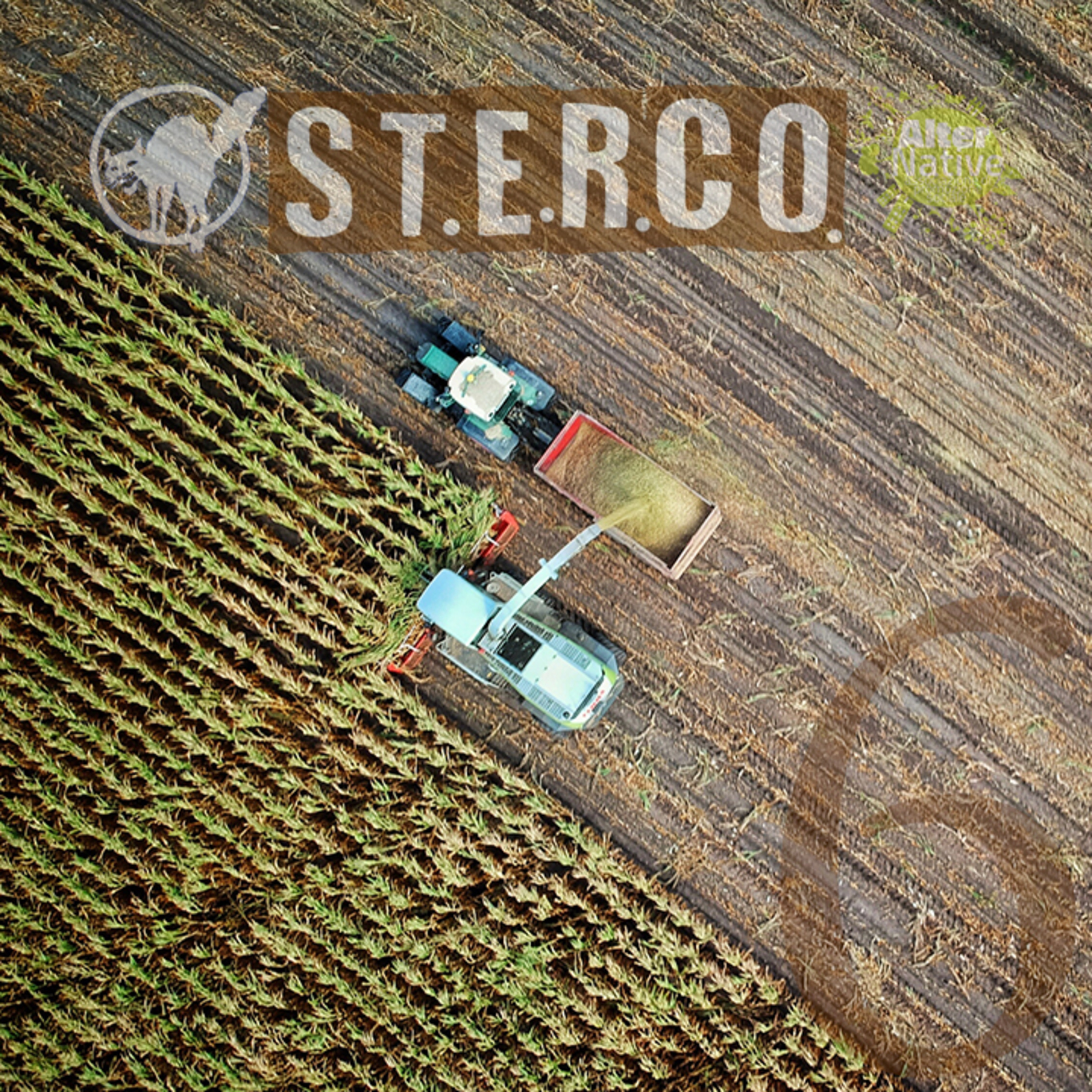 STorie Ecologiche di Resistenza e COnflitto