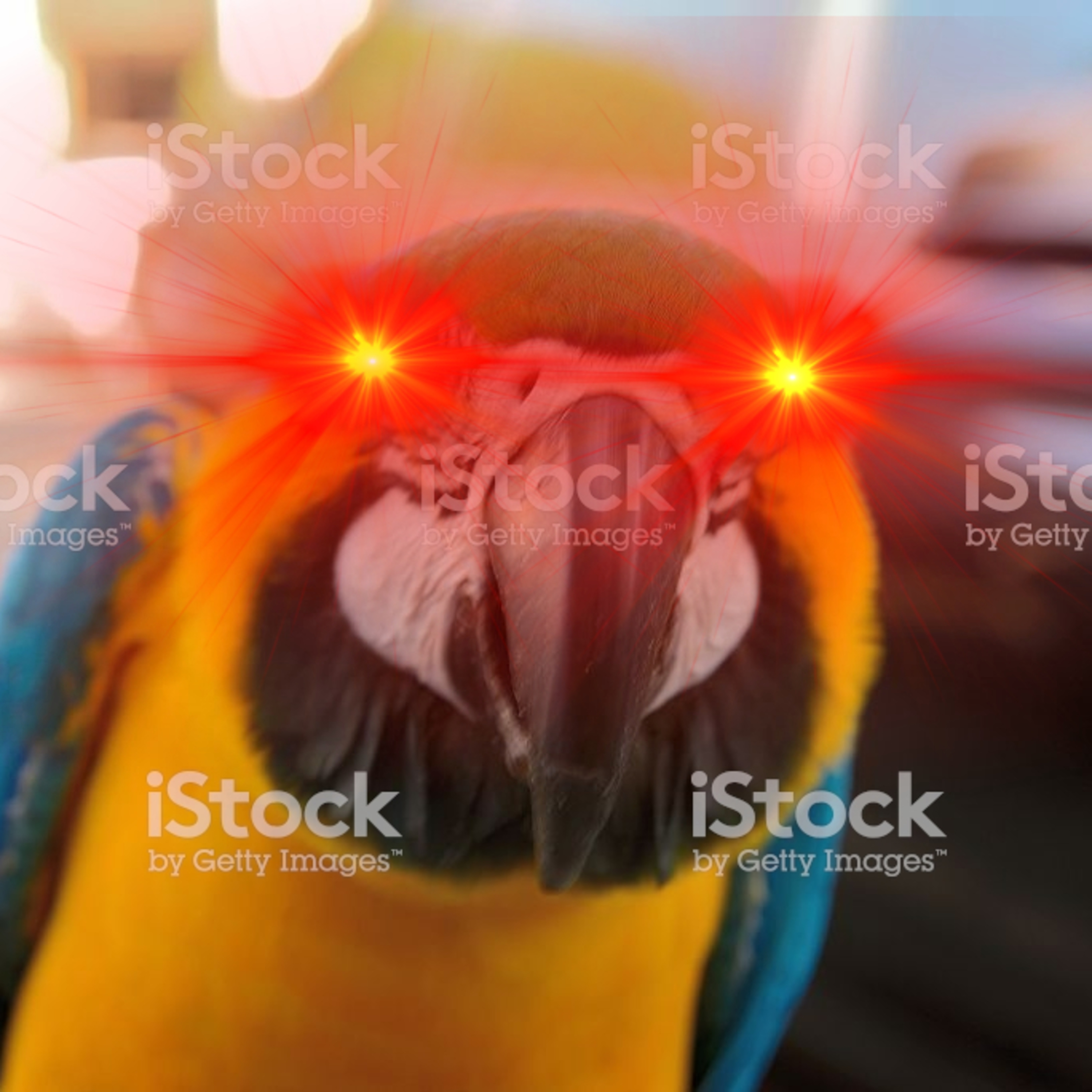 Episode 5 Jontron second BIRd episode artwork