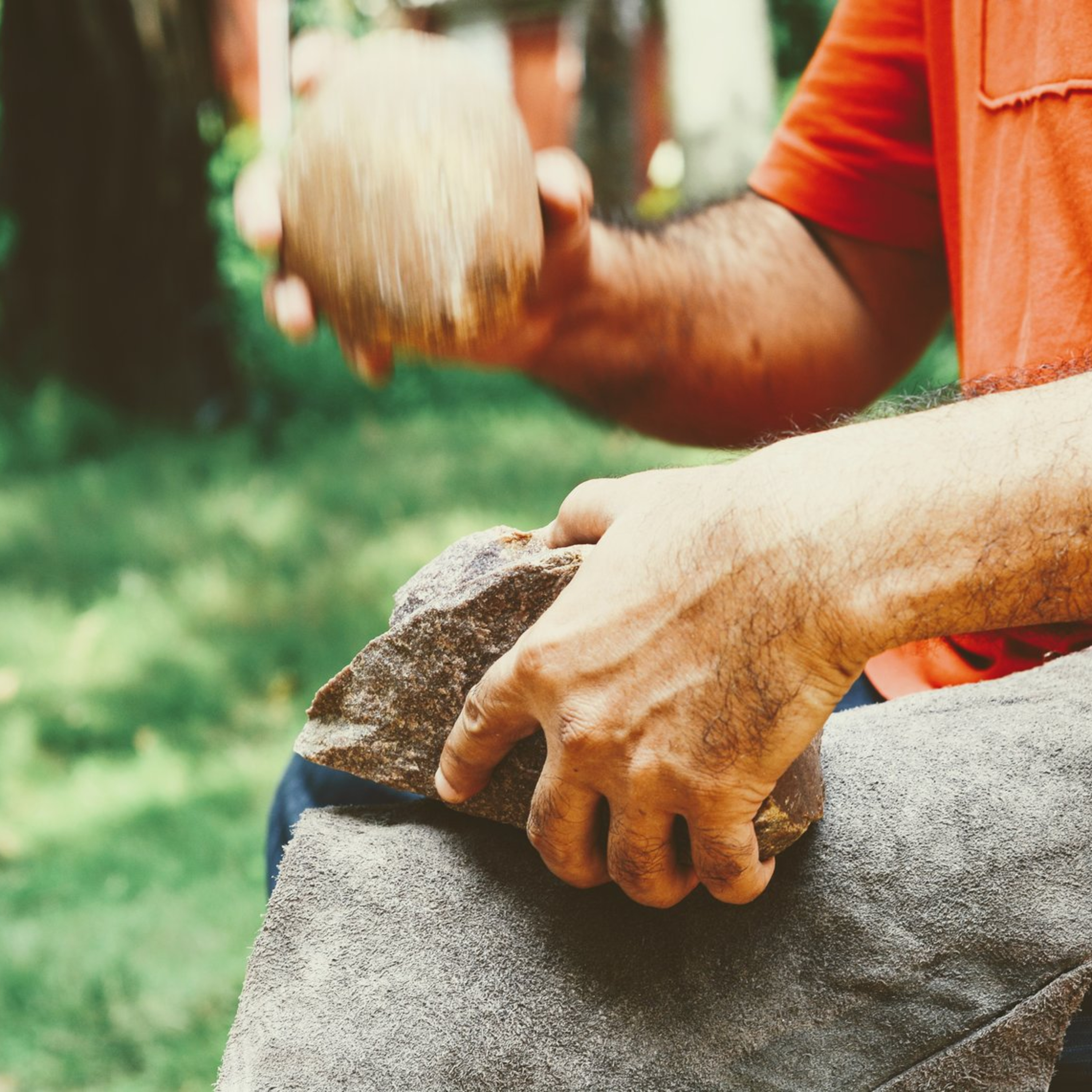 Desi Stones and Bones