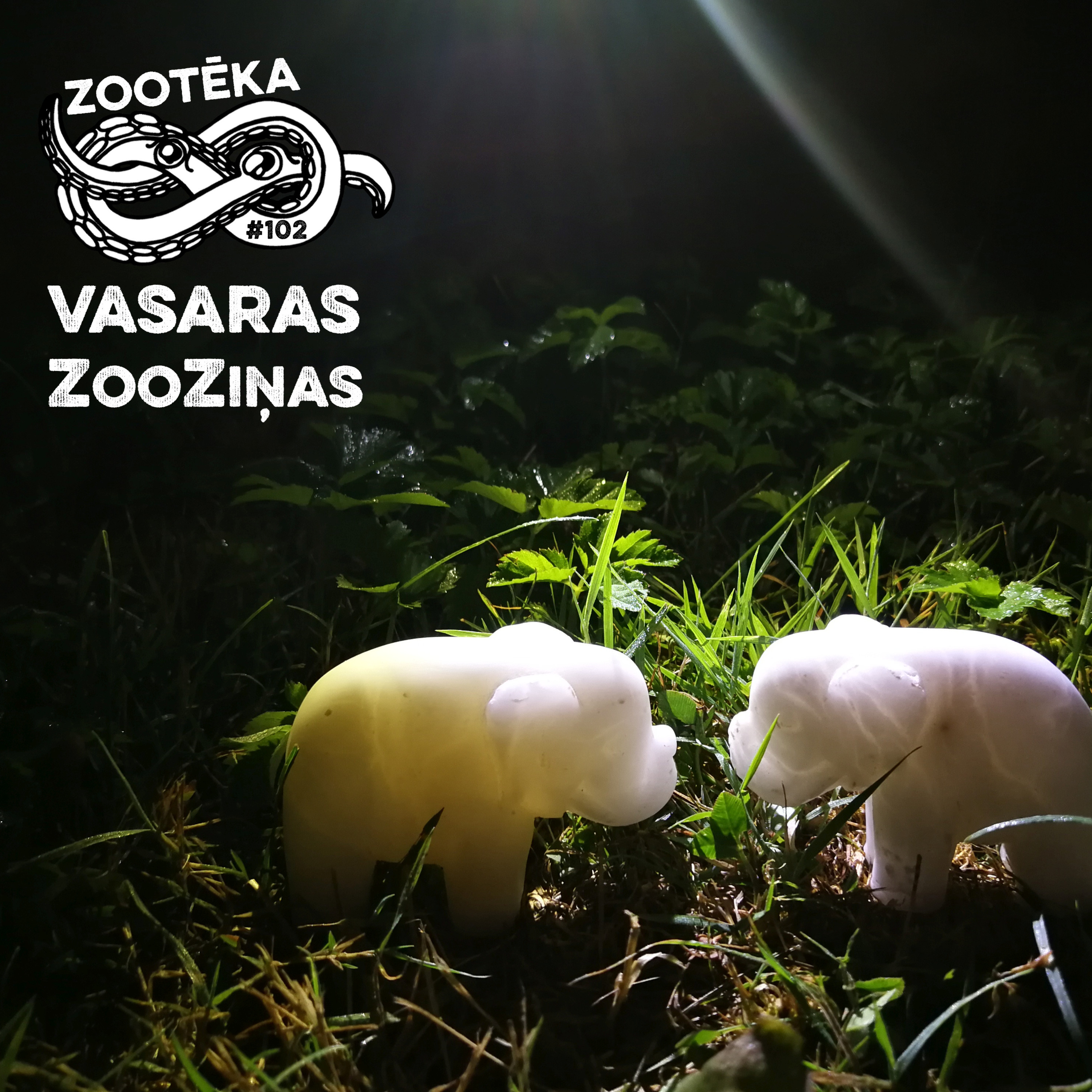 #102 Vasaras ZooZiņas episode artwork