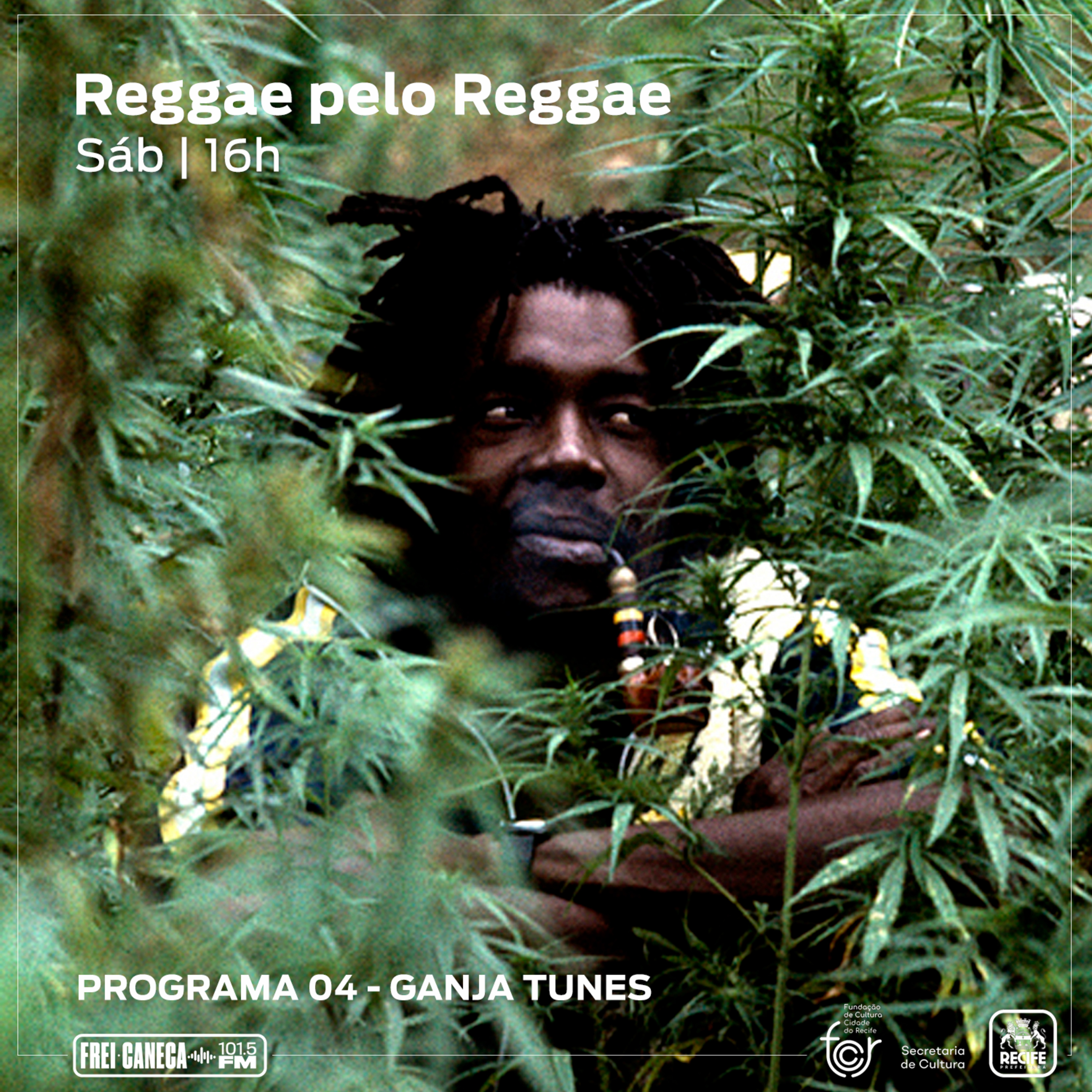 Programa Reggae pelo Reggae