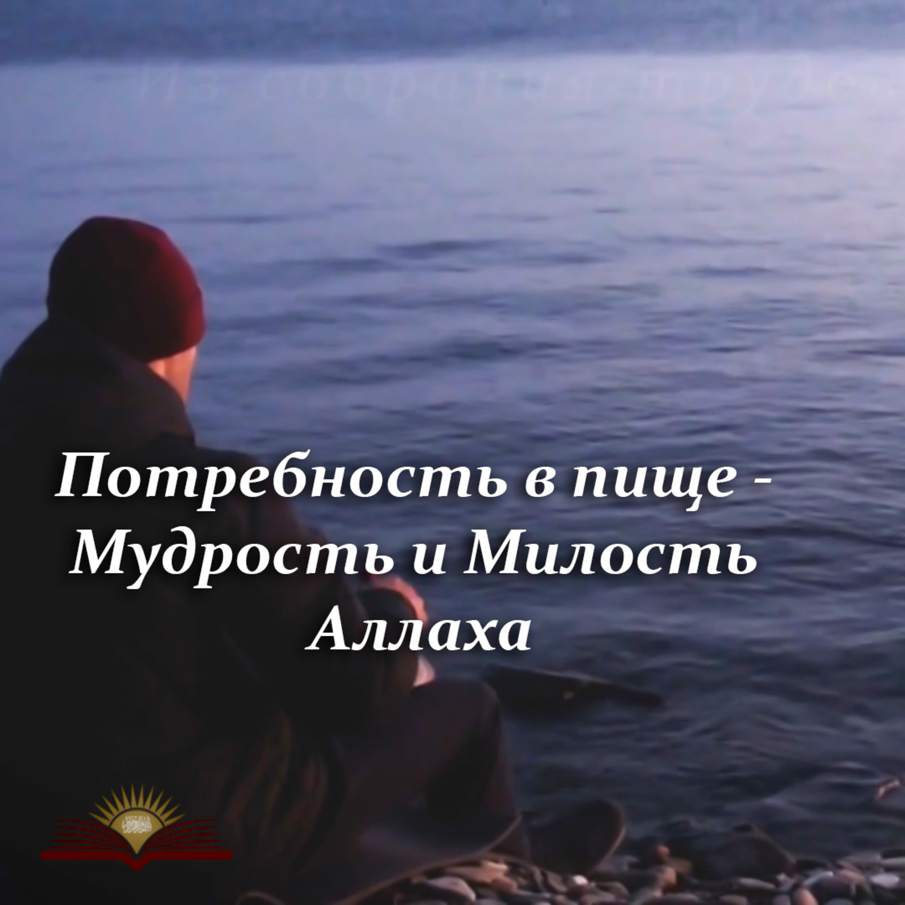 Потребность в пище - Мудрость и Милость Аллаха [Ru-Nur.com]