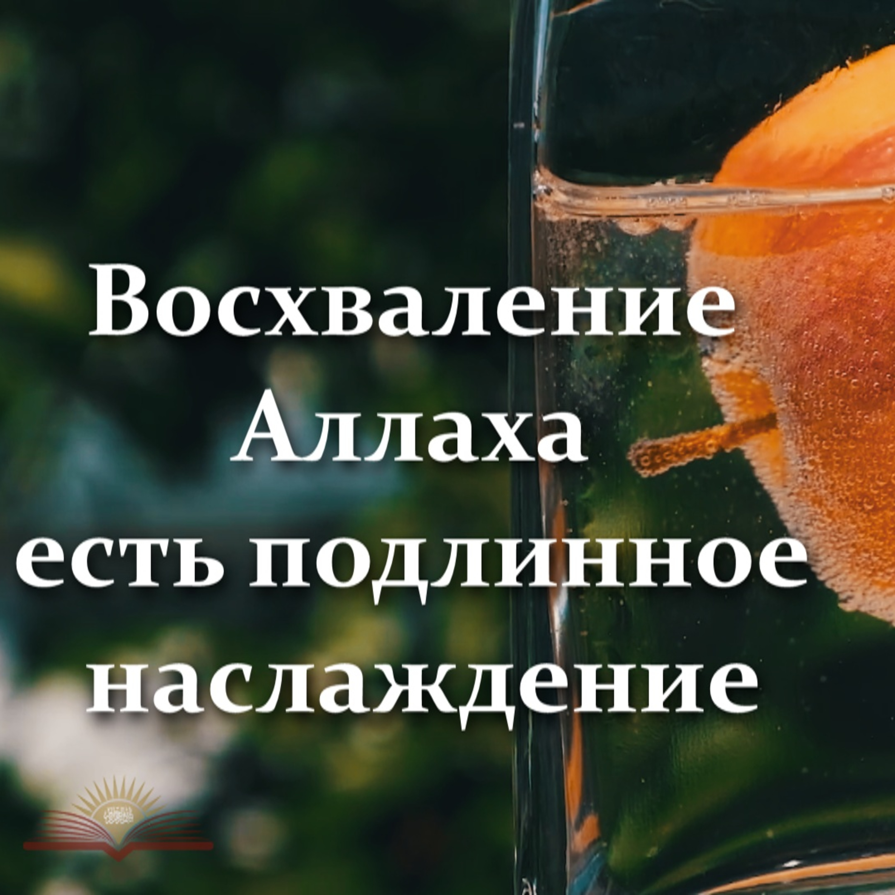 Восхваление Аллаха есть подлинное наслаждение [Ru-Nur.com]