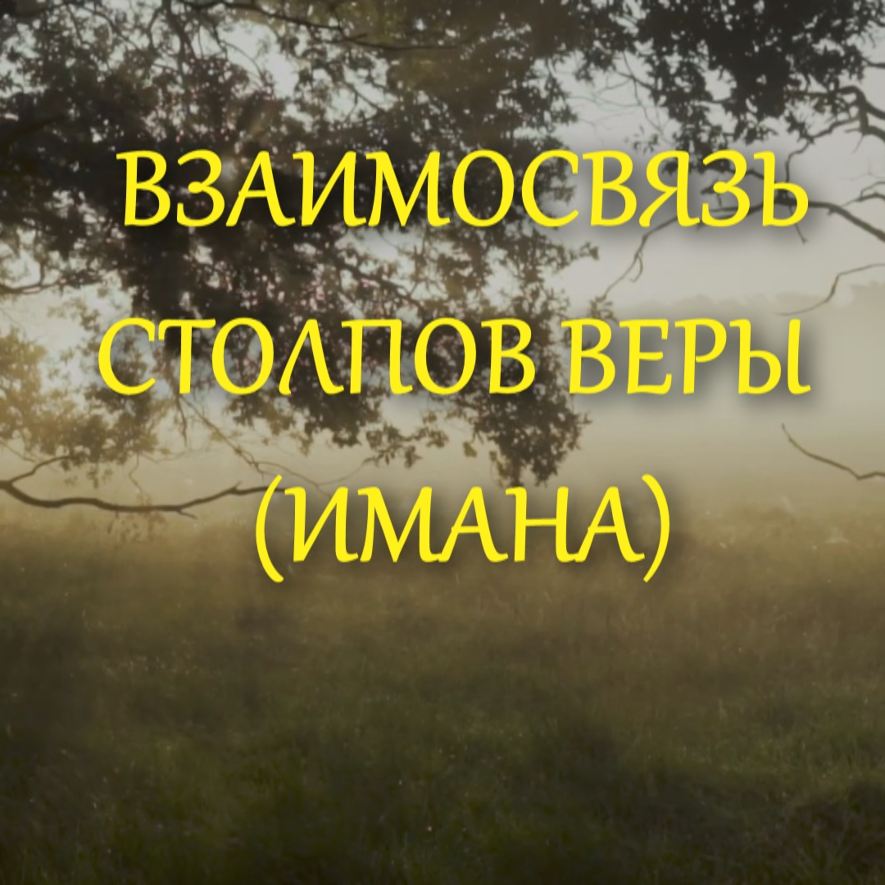 Взаимосвязь Столпов веры (имана) [Ru-Nur.com]