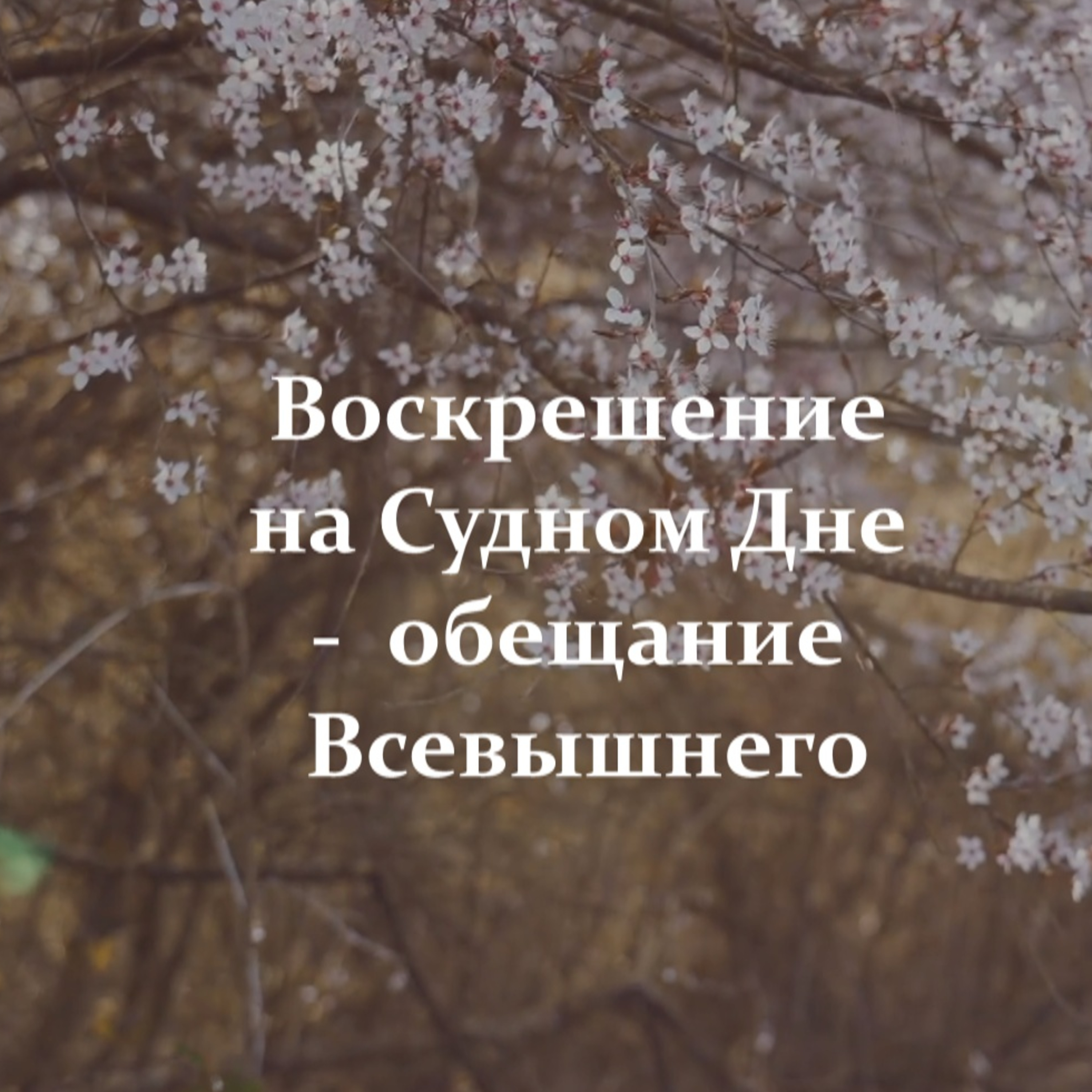 Воскрешение на Судном Дне - обещание Всевышнего [Ru-Nur.com]