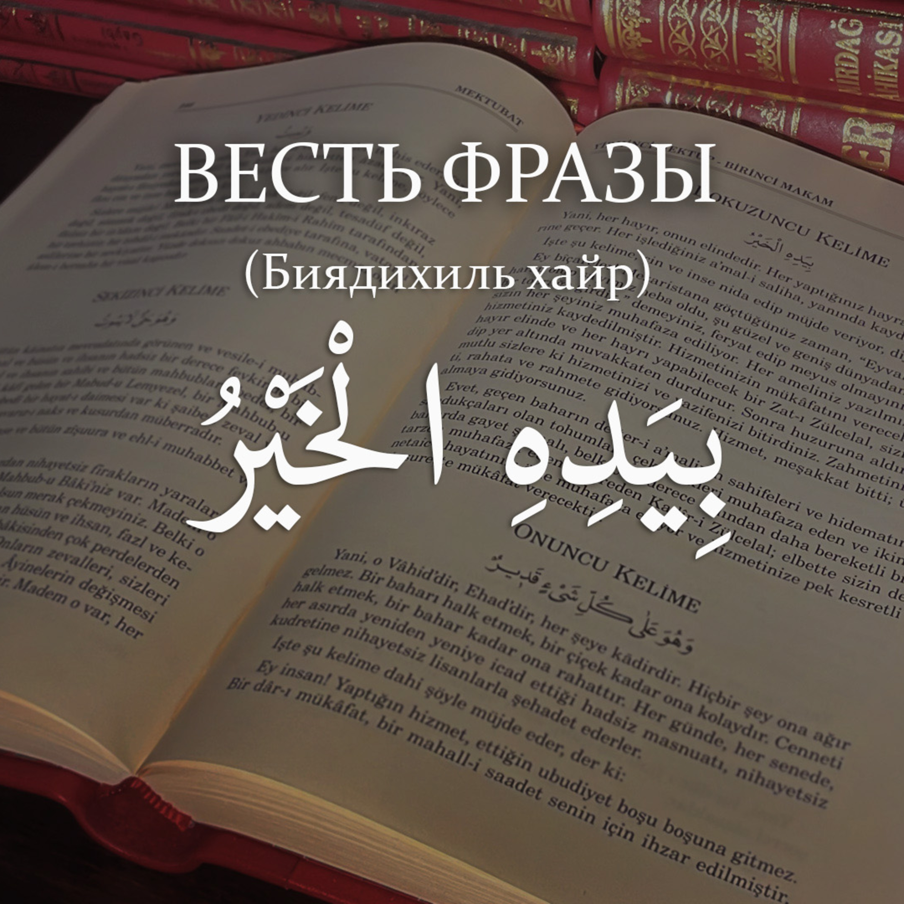 Весть фразы: بِيَدِهِ الْخَيْرُ - Биядихиль хайр - “В Его Руке благо” [Ru-Nur.com]