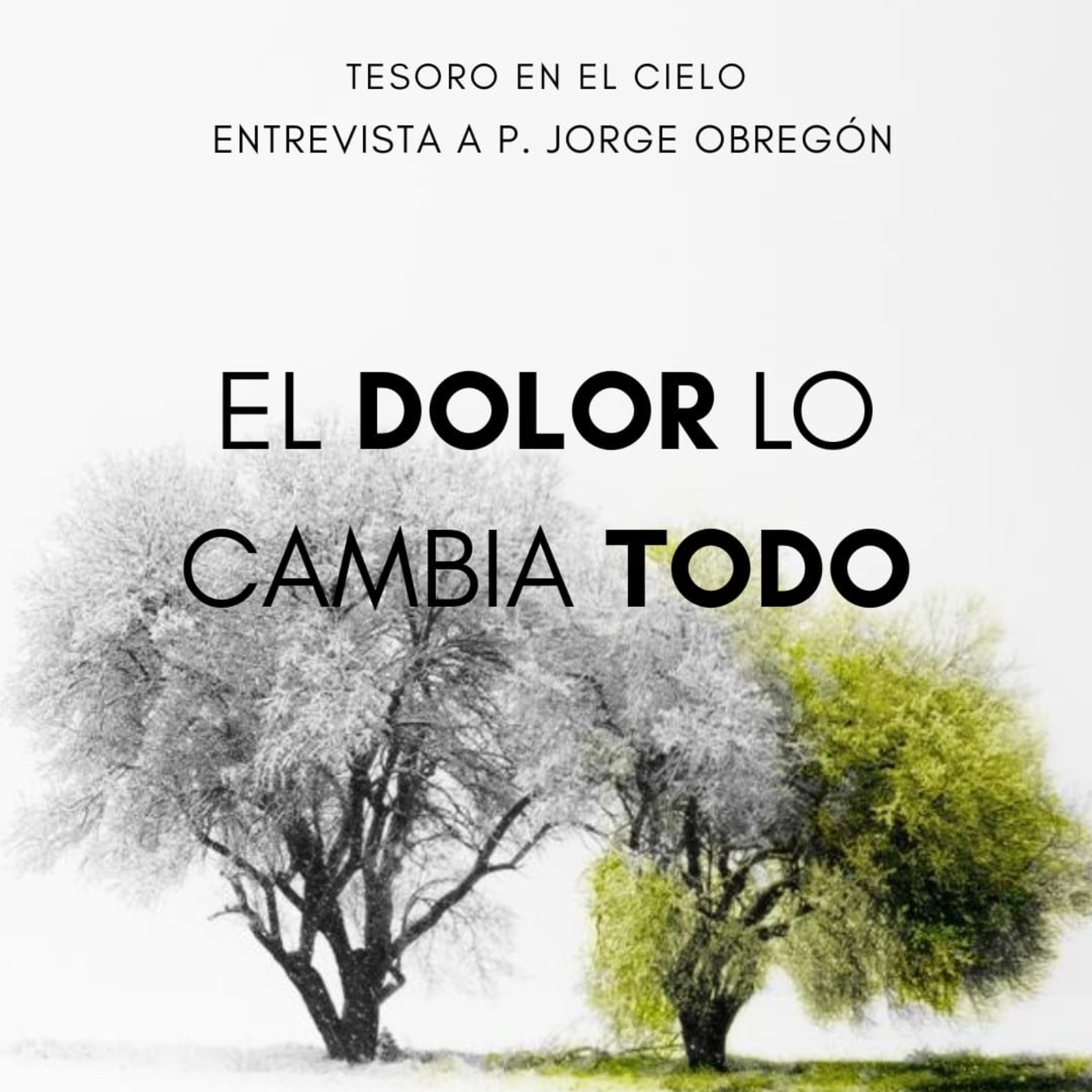 Tesoro en el Cielo