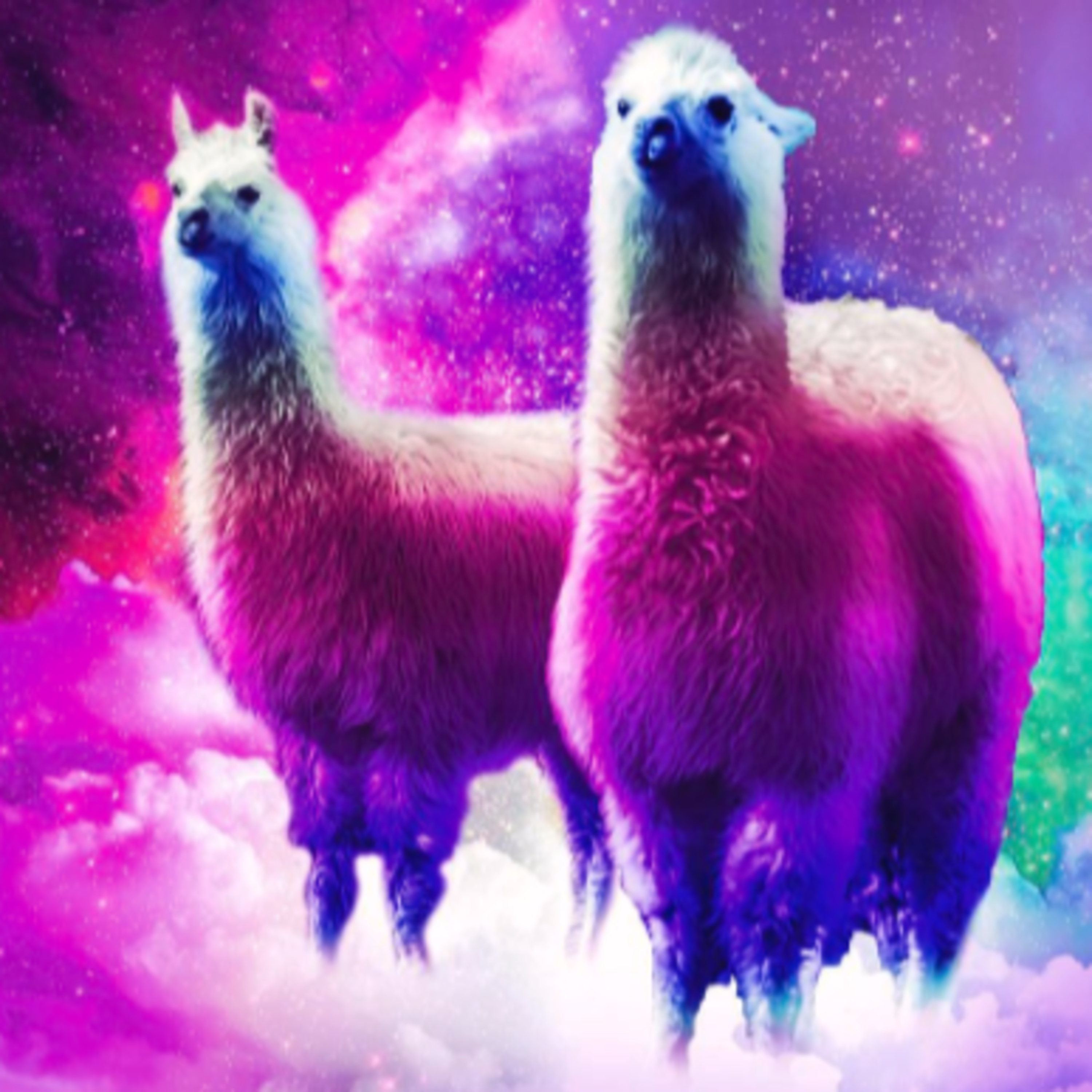Llama episode artwork
