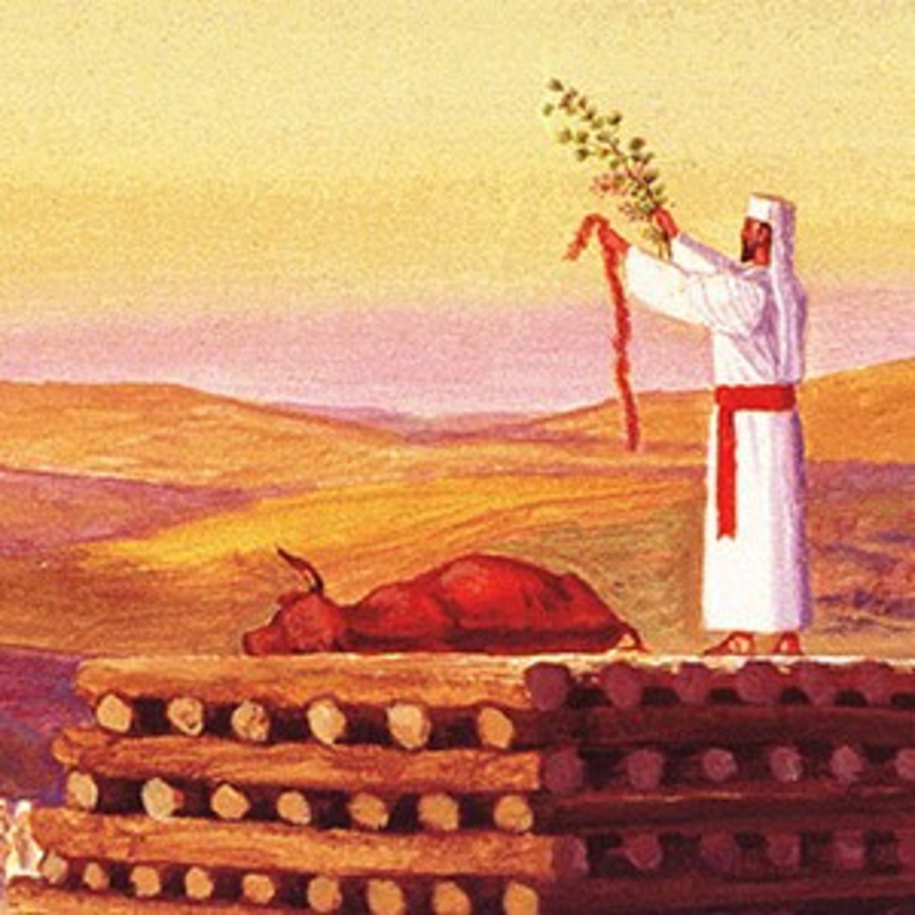 פרשת חקת עם הפטרה וטעמי המקרא | Parshat Hukat episode artwork