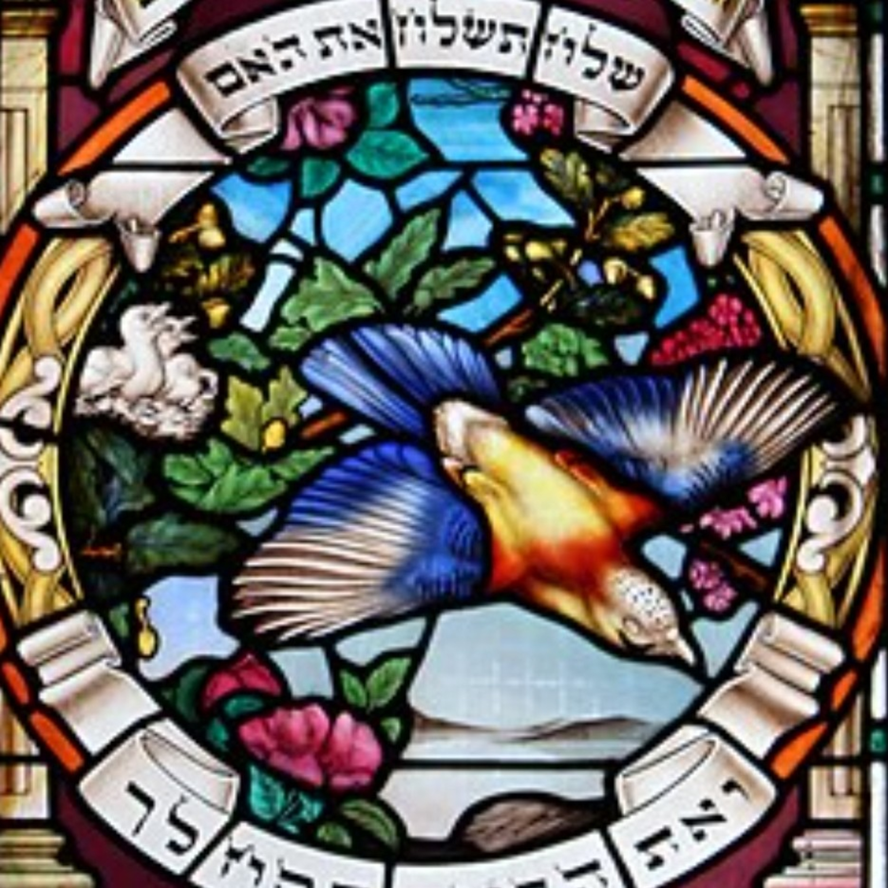 פרשת כי-תצא episode artwork
