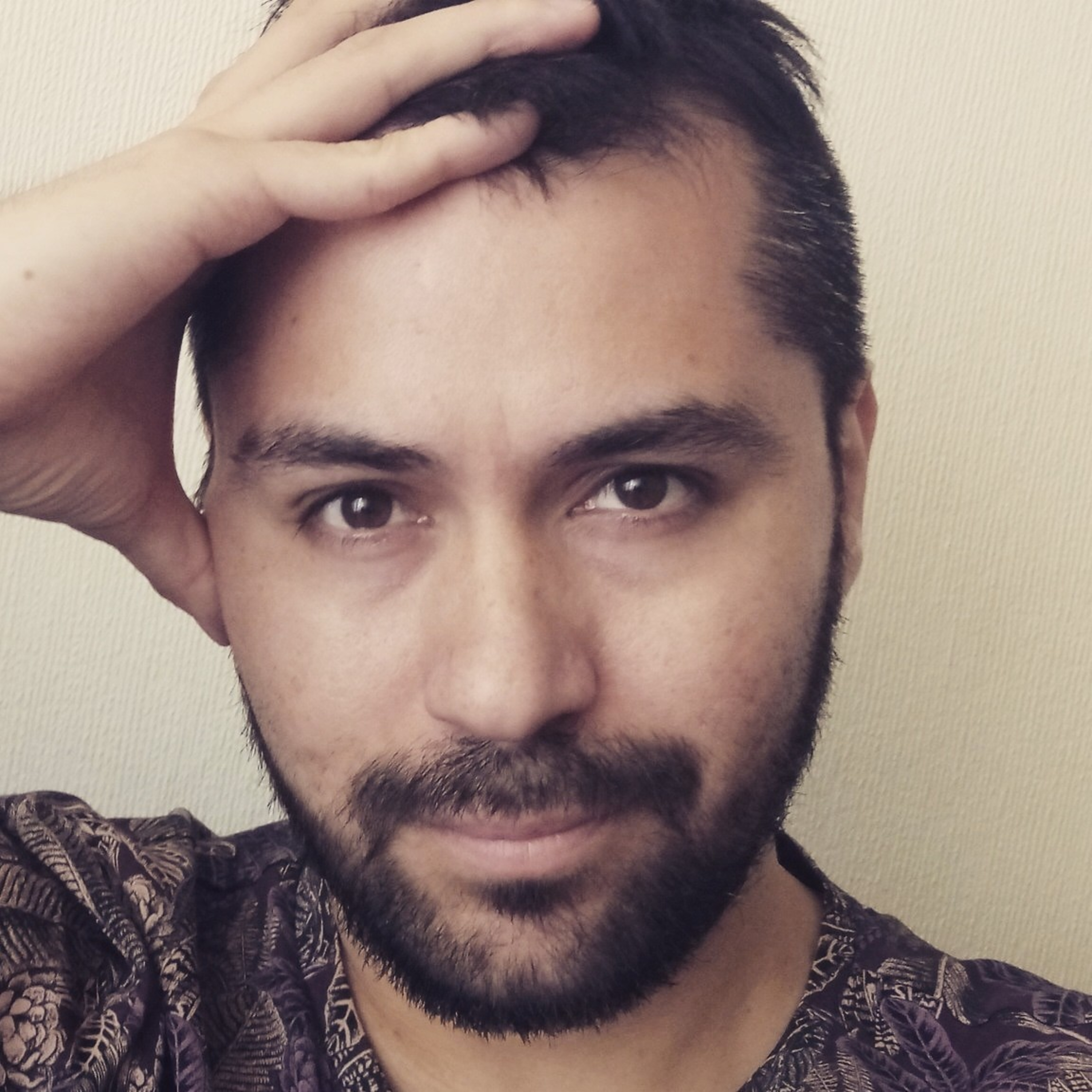 La Maestría Interna