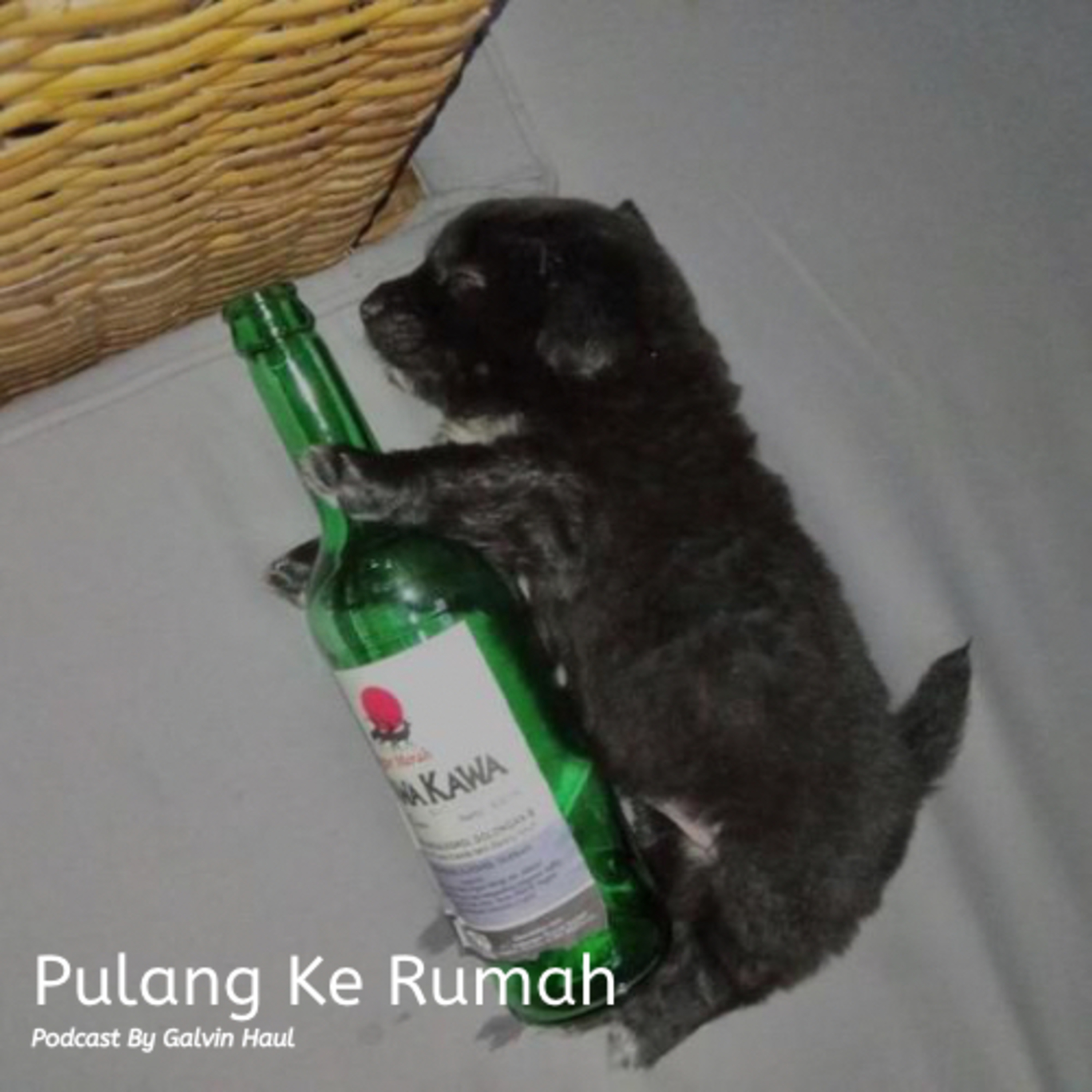 Pulang Ke Rumah