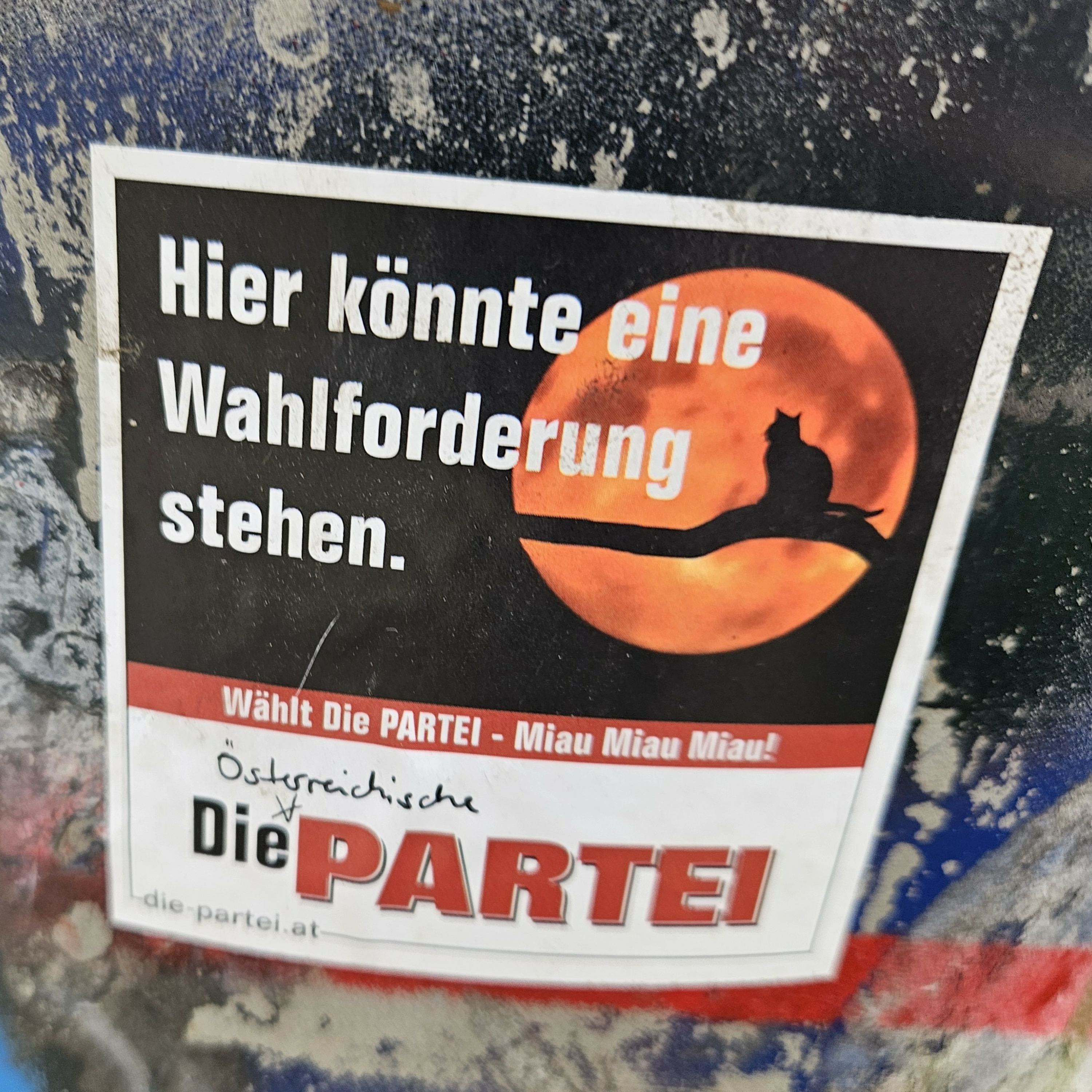 AL 33 mit Socken im Hofer! episode artwork