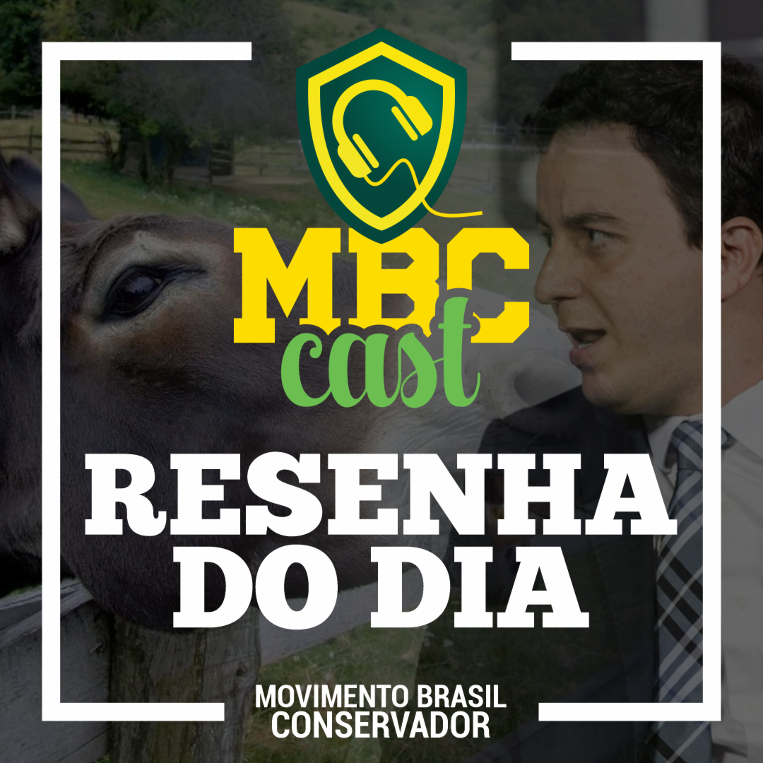 245 — Toque de recolher, Dia Nacional do Jumento: nunca duvide da imbecilidade humana episode artwork